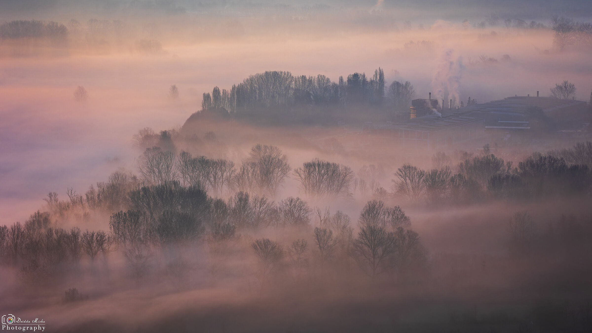 I colori dell'alba nella nebbia 2
