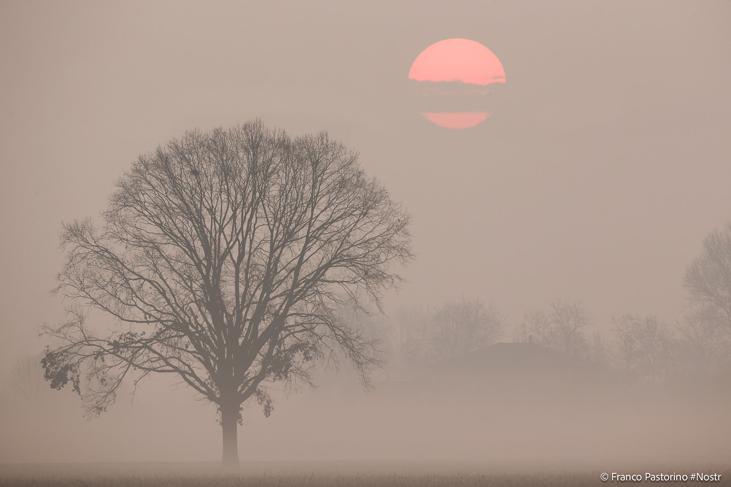 Alba a Tivoli Manzolino