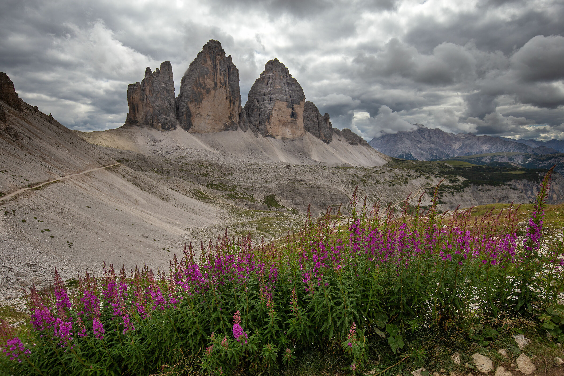 Tre Cime di Lavaredo con cielo nuvoloso e fiori