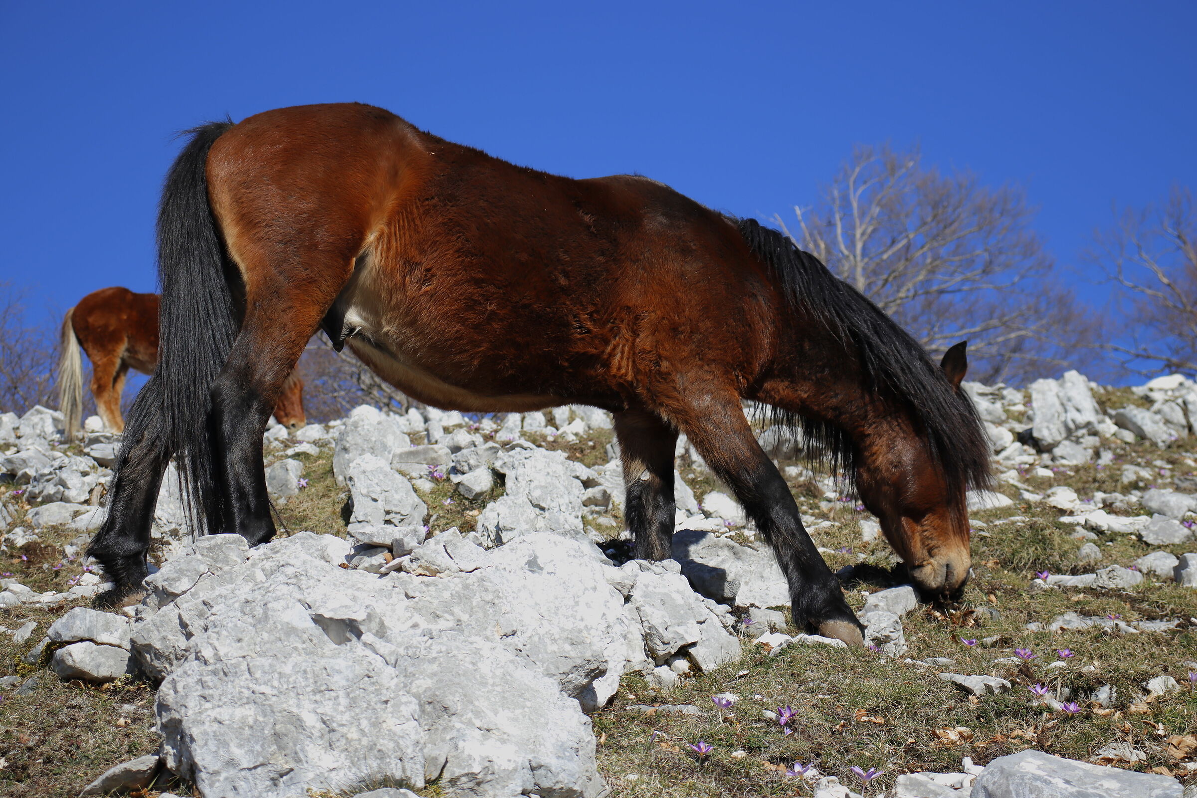 Una giornata in montagna