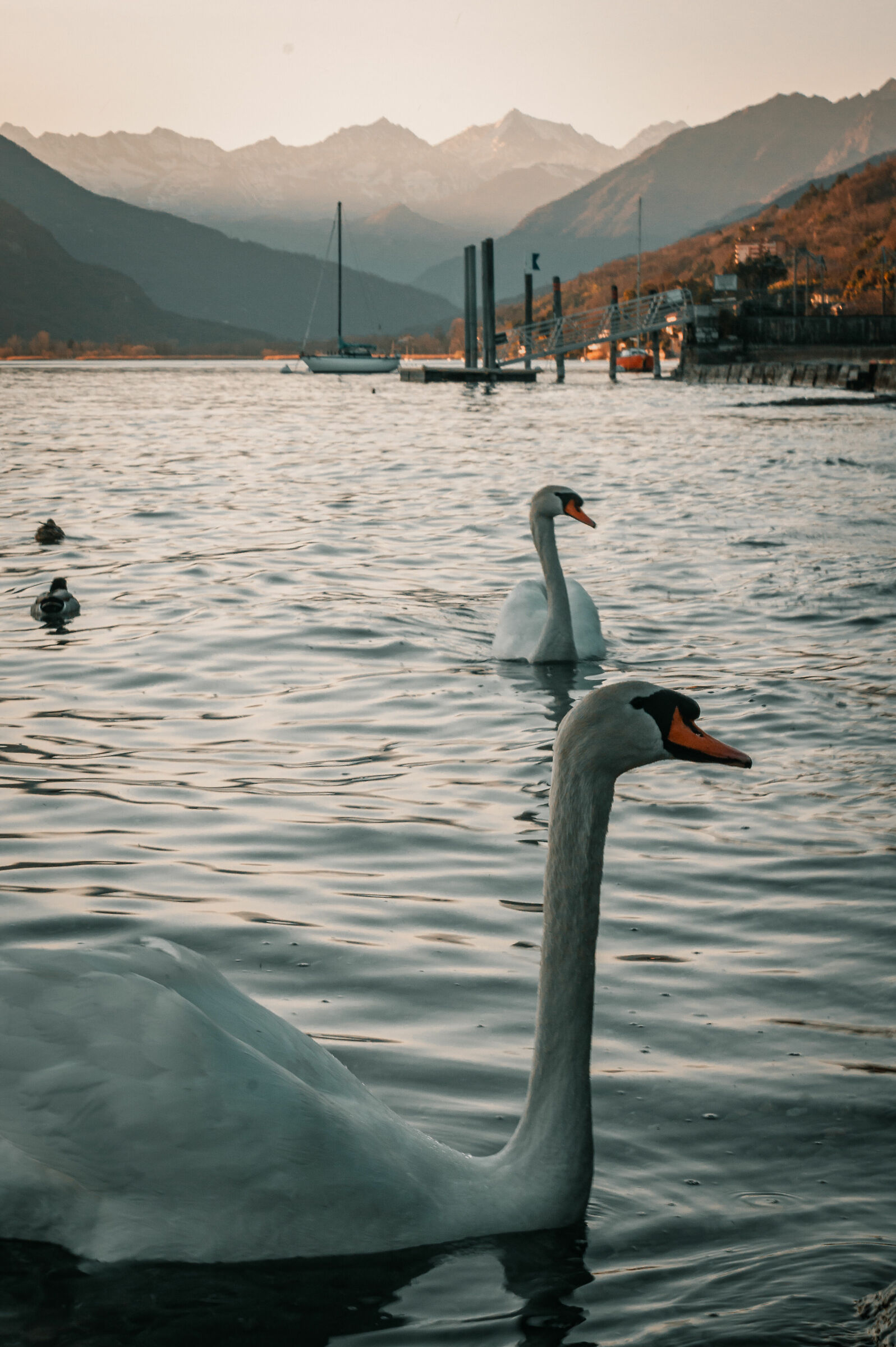 Lake maggiore
