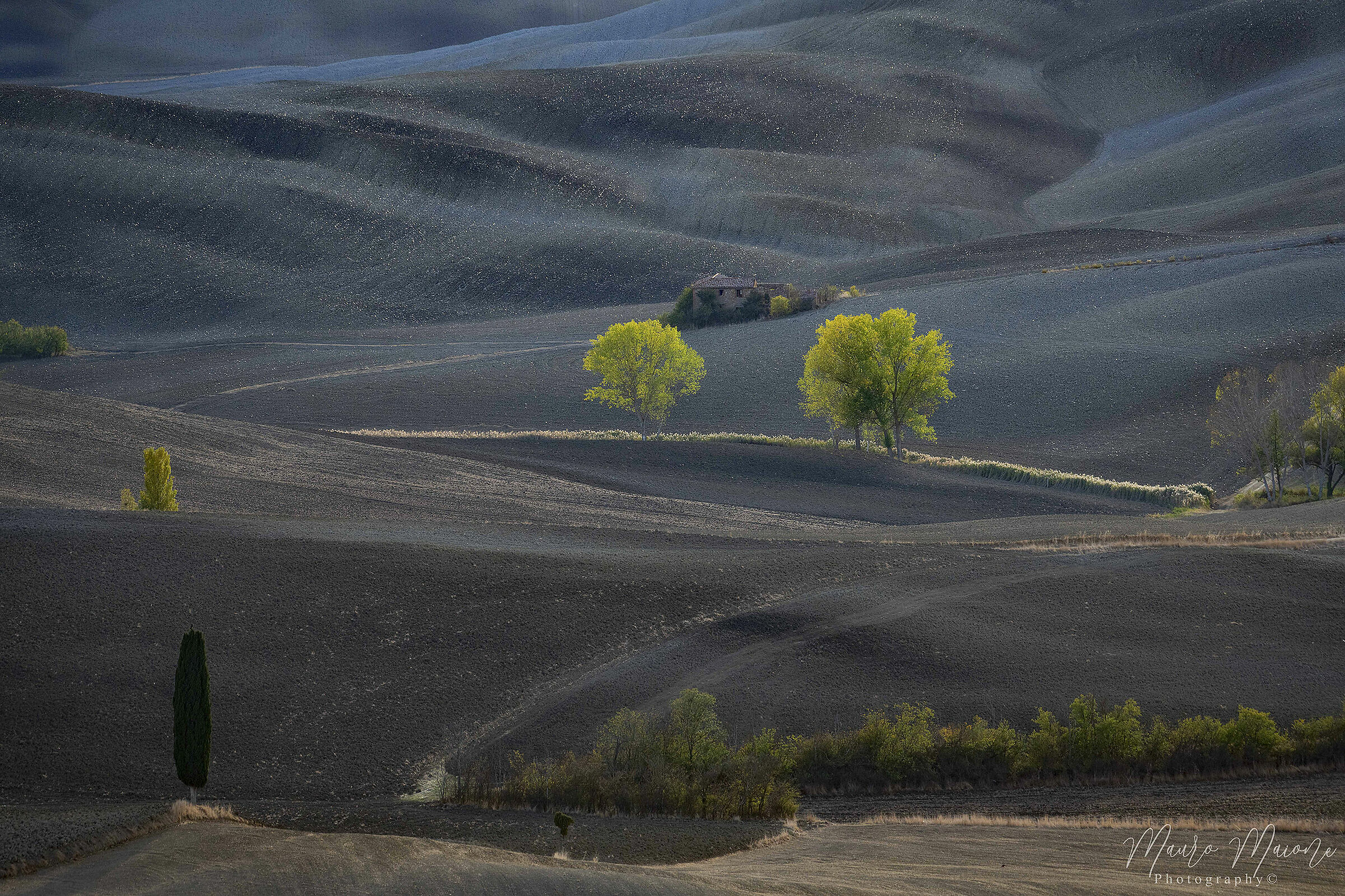campi arati Toscani