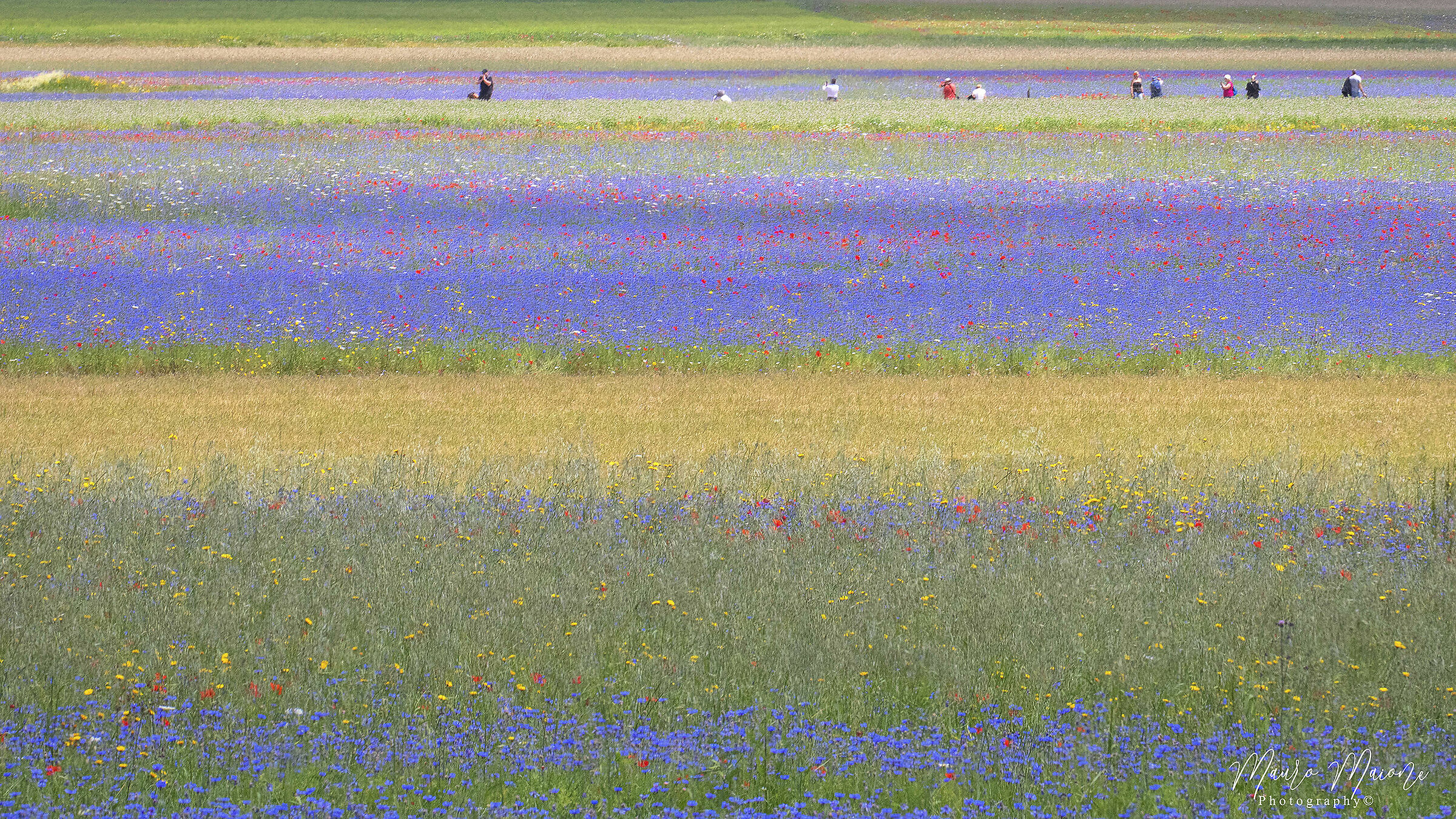 impressionismo naturale