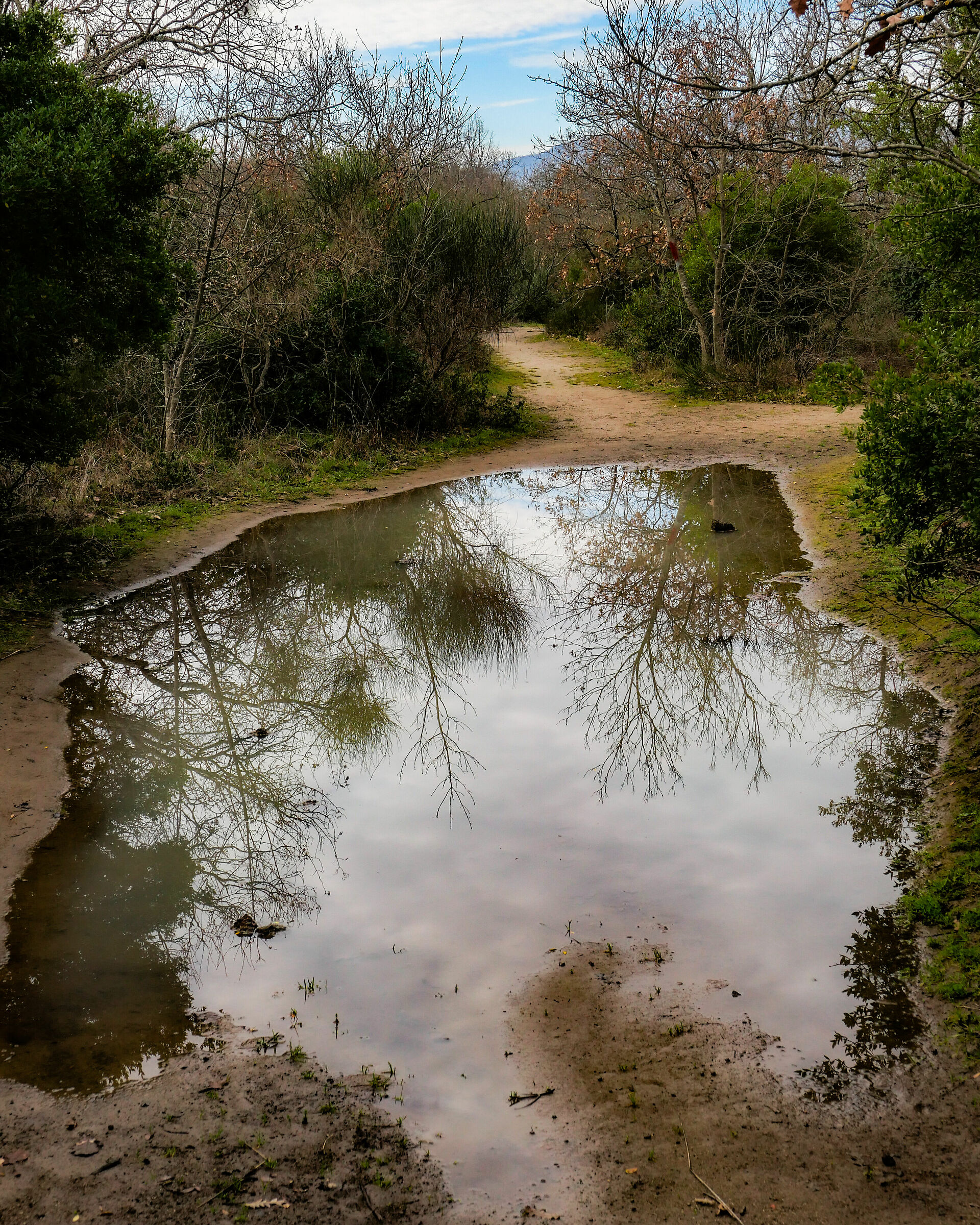 Pozza d'acqua piovana
