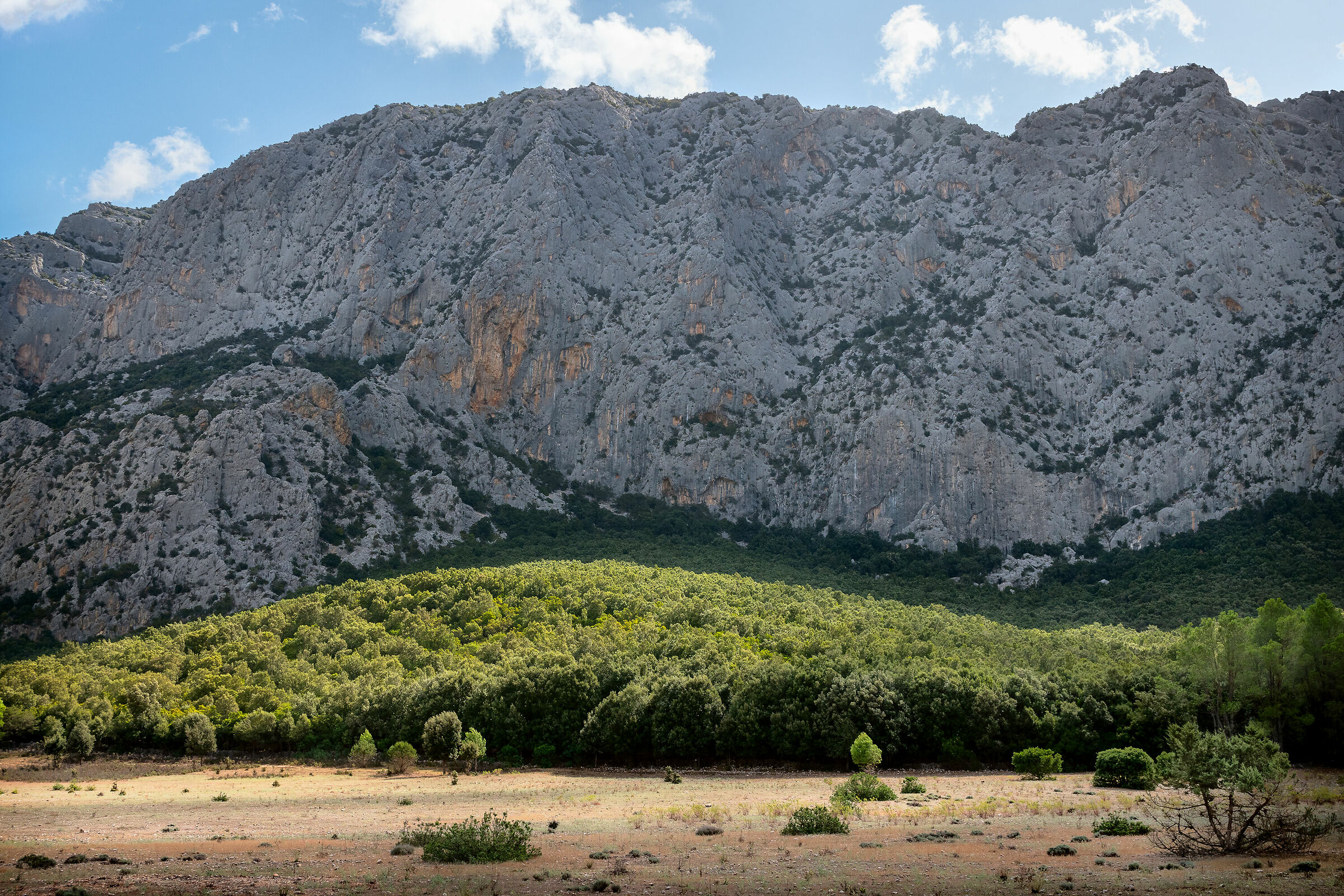 Valle di Lanaitho - Oliena