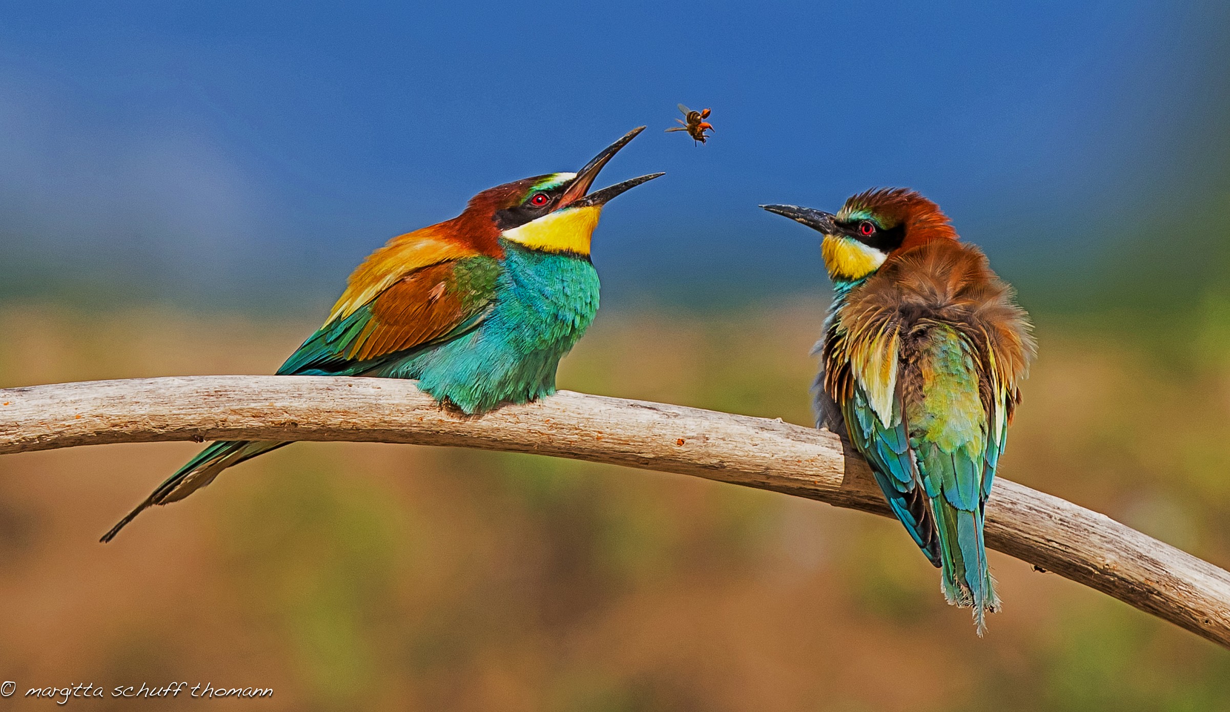 Come on, take it, is for you ...