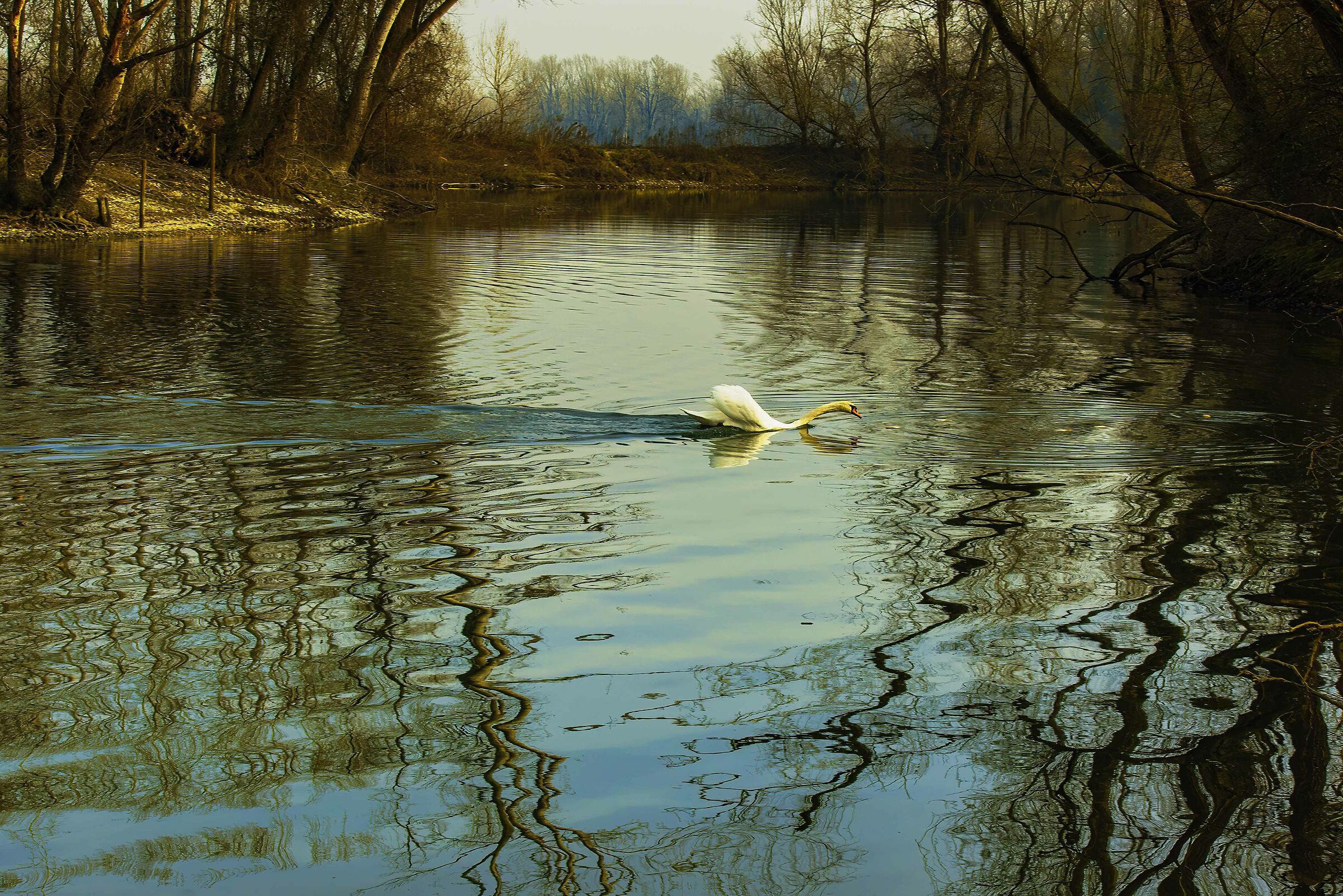 Arrivooooooooo...........