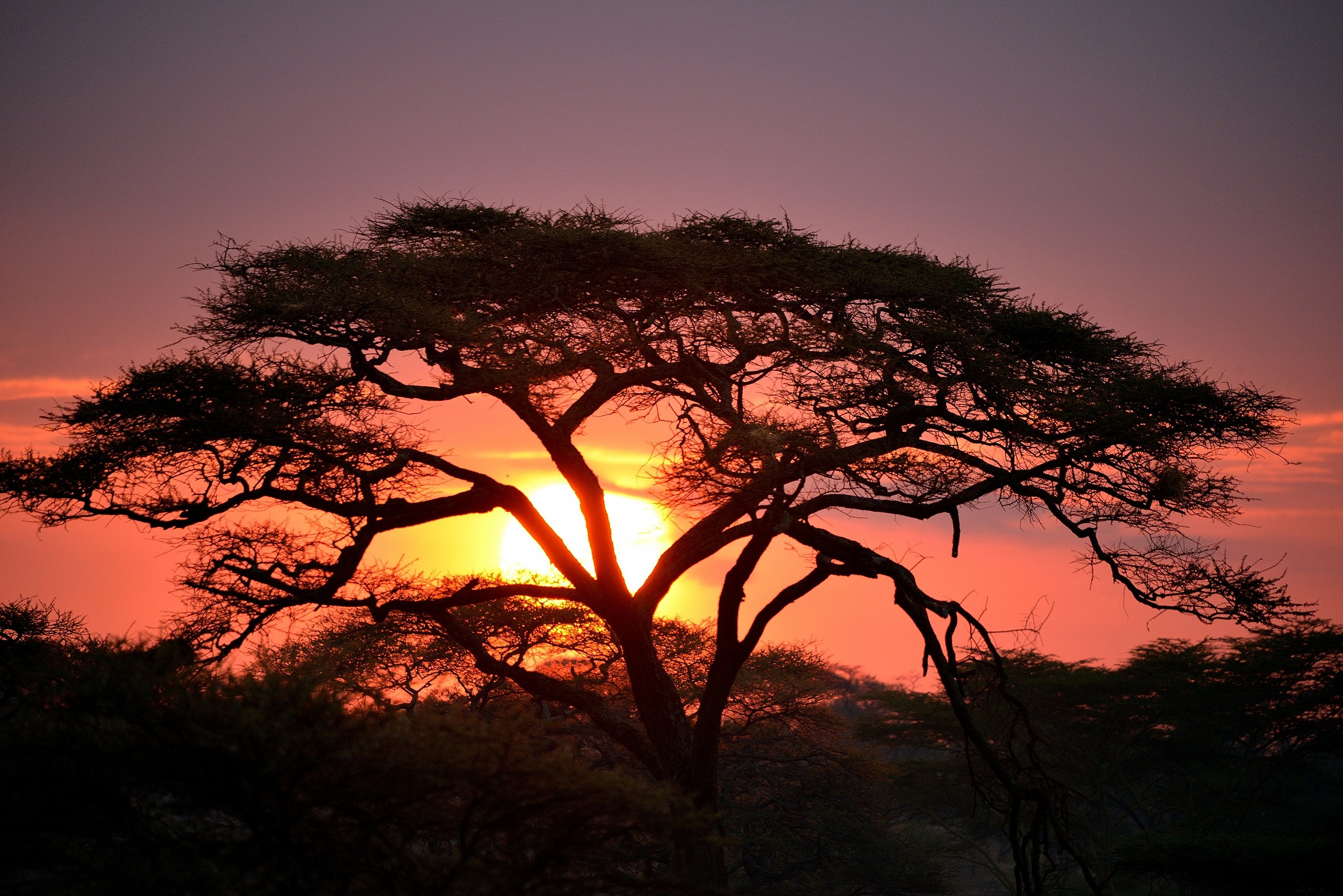 African sunset