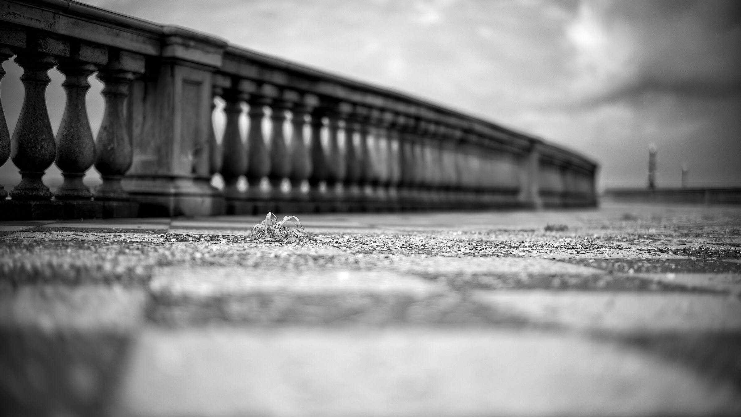 Remains of the Carnival2