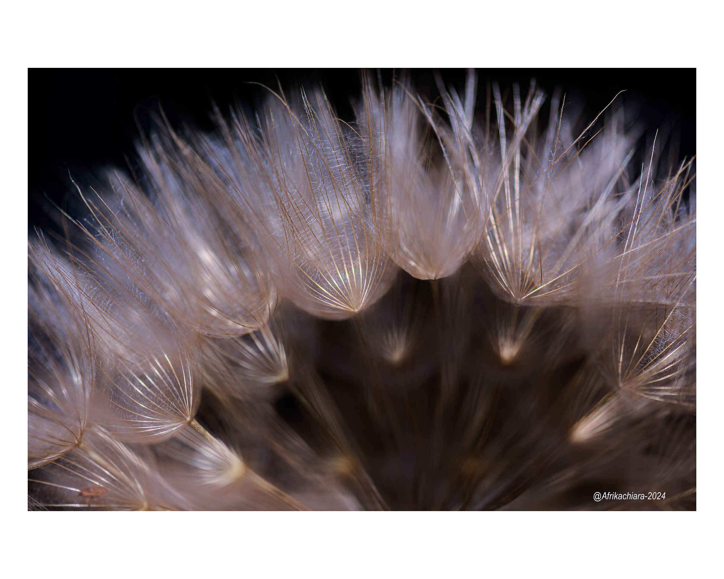 L'eleganza di un soffio