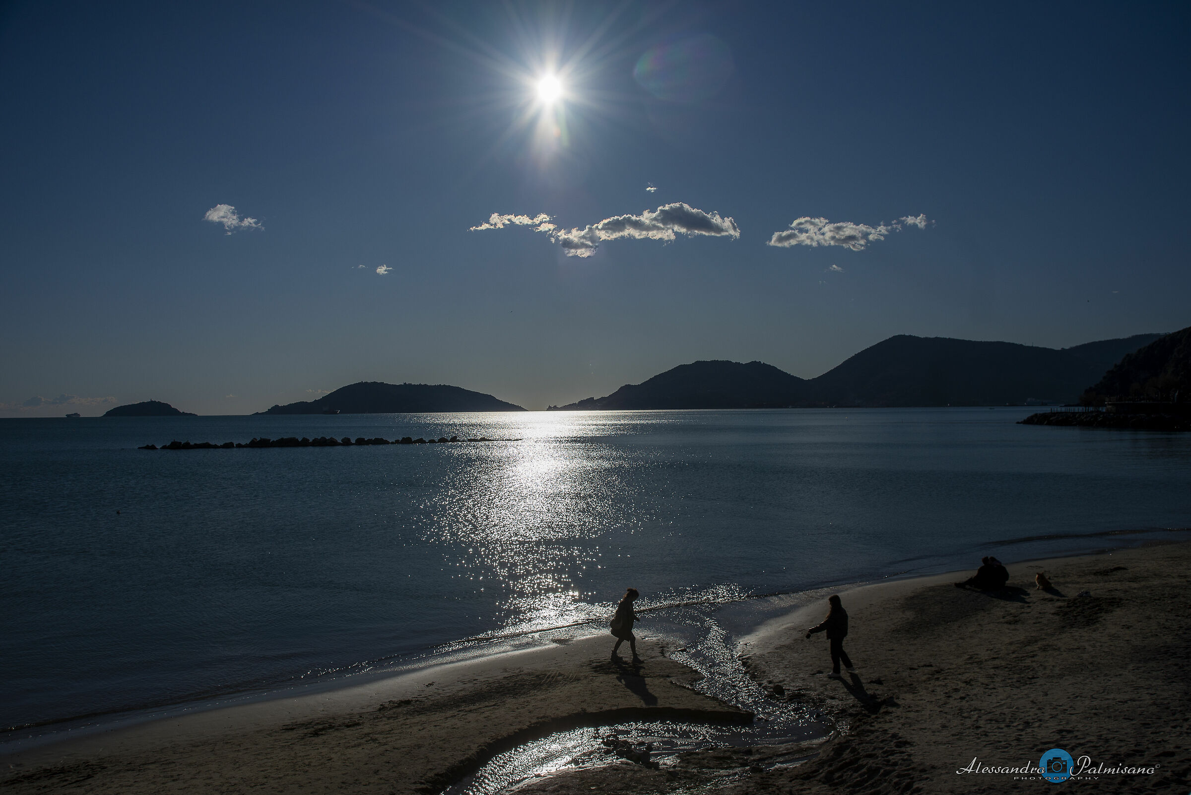 LERICI