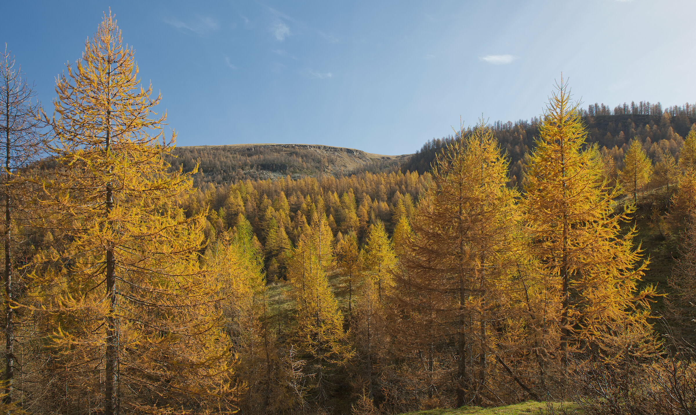 autumn in Valdivedro 2022