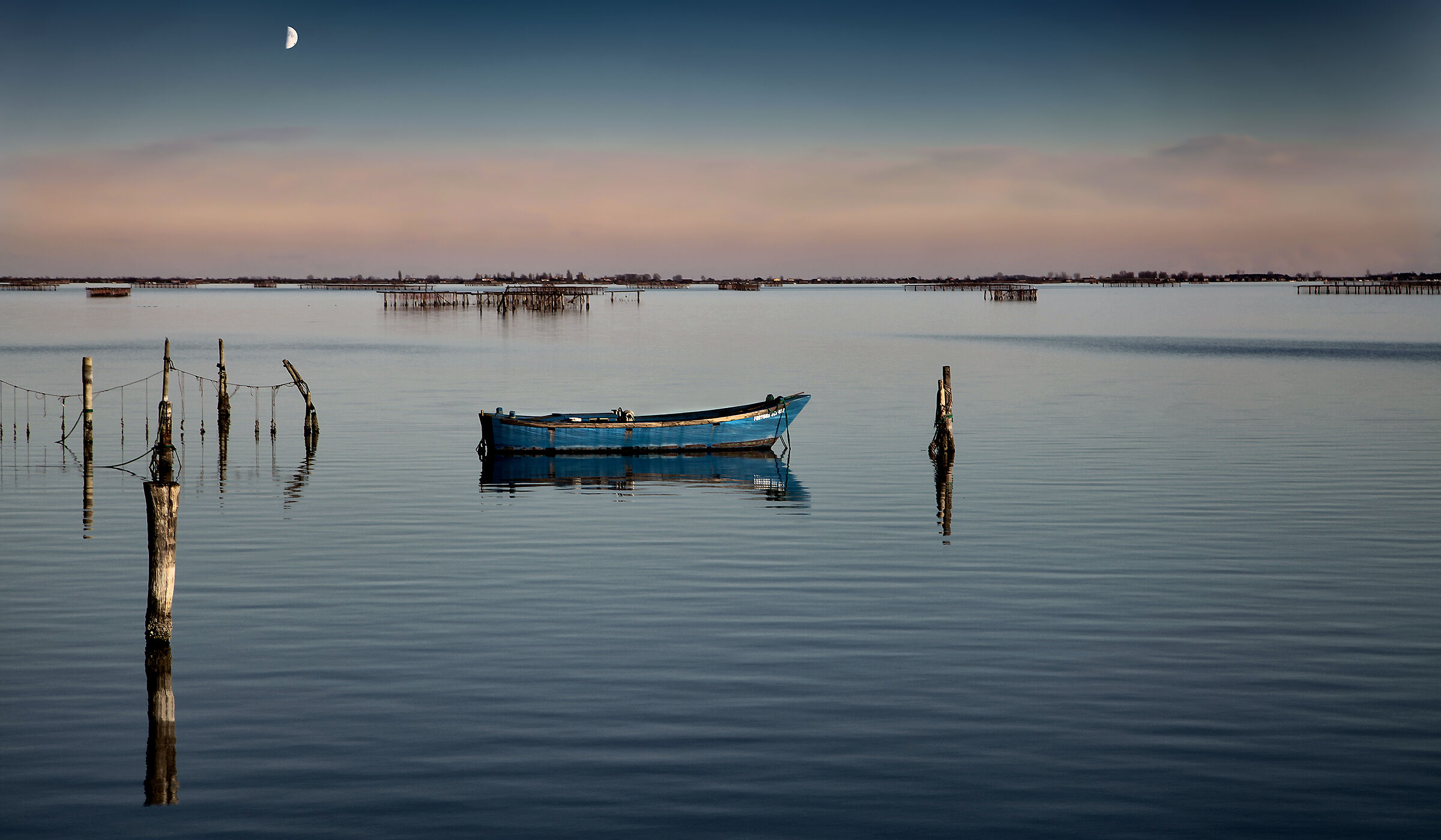 Sacca degli Scardovari