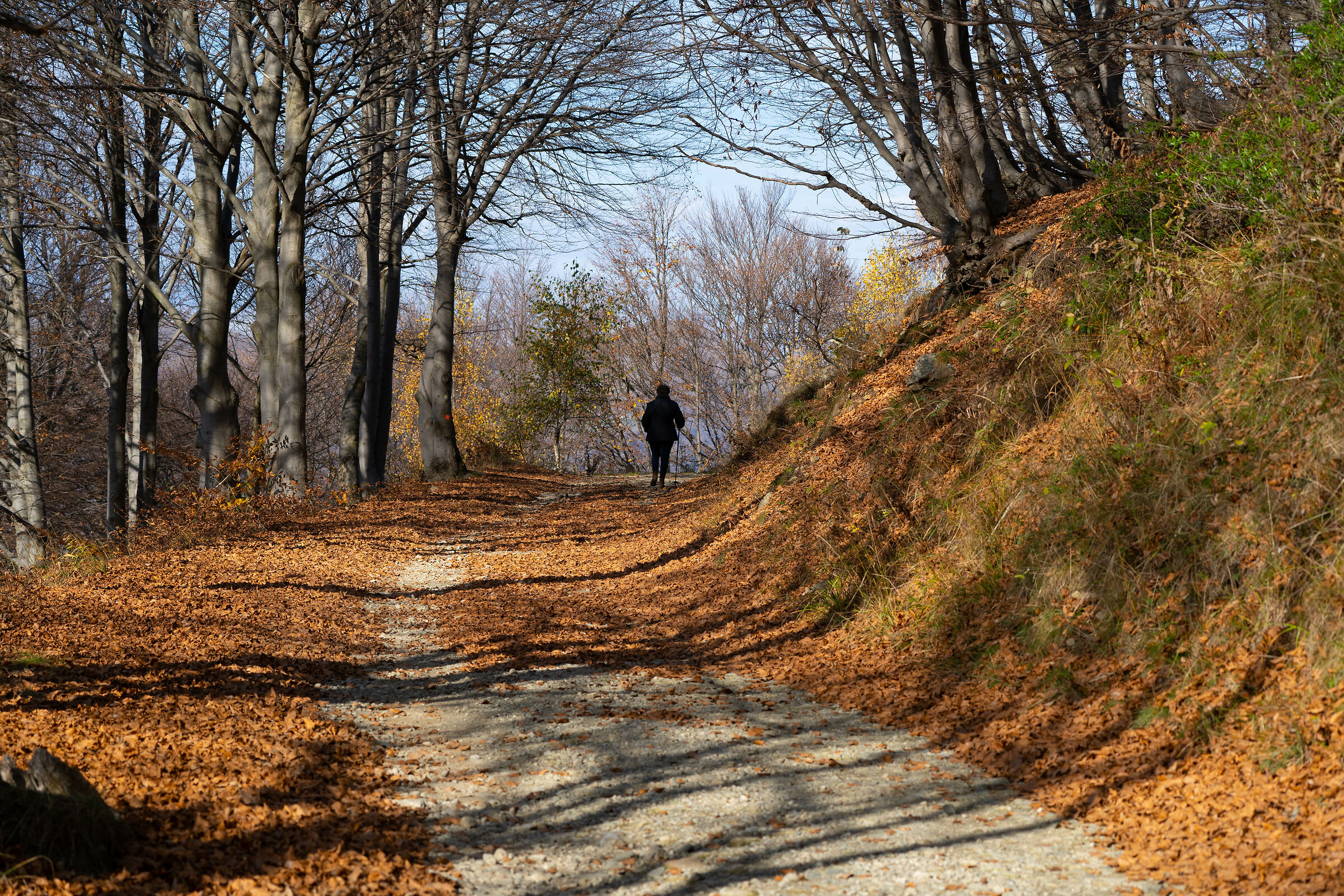 Walk in the upper Sessera Valley