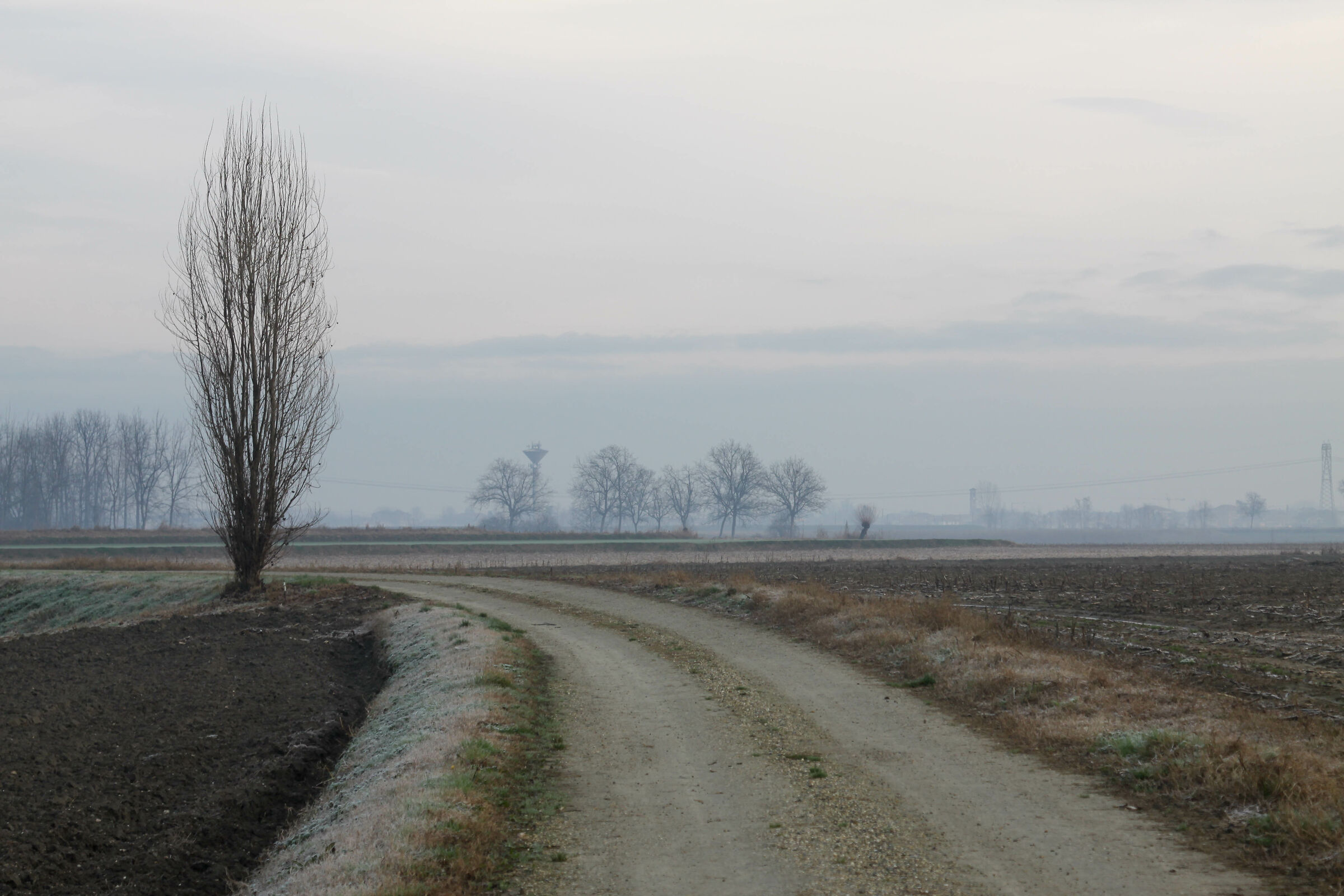 camminando in campagna
