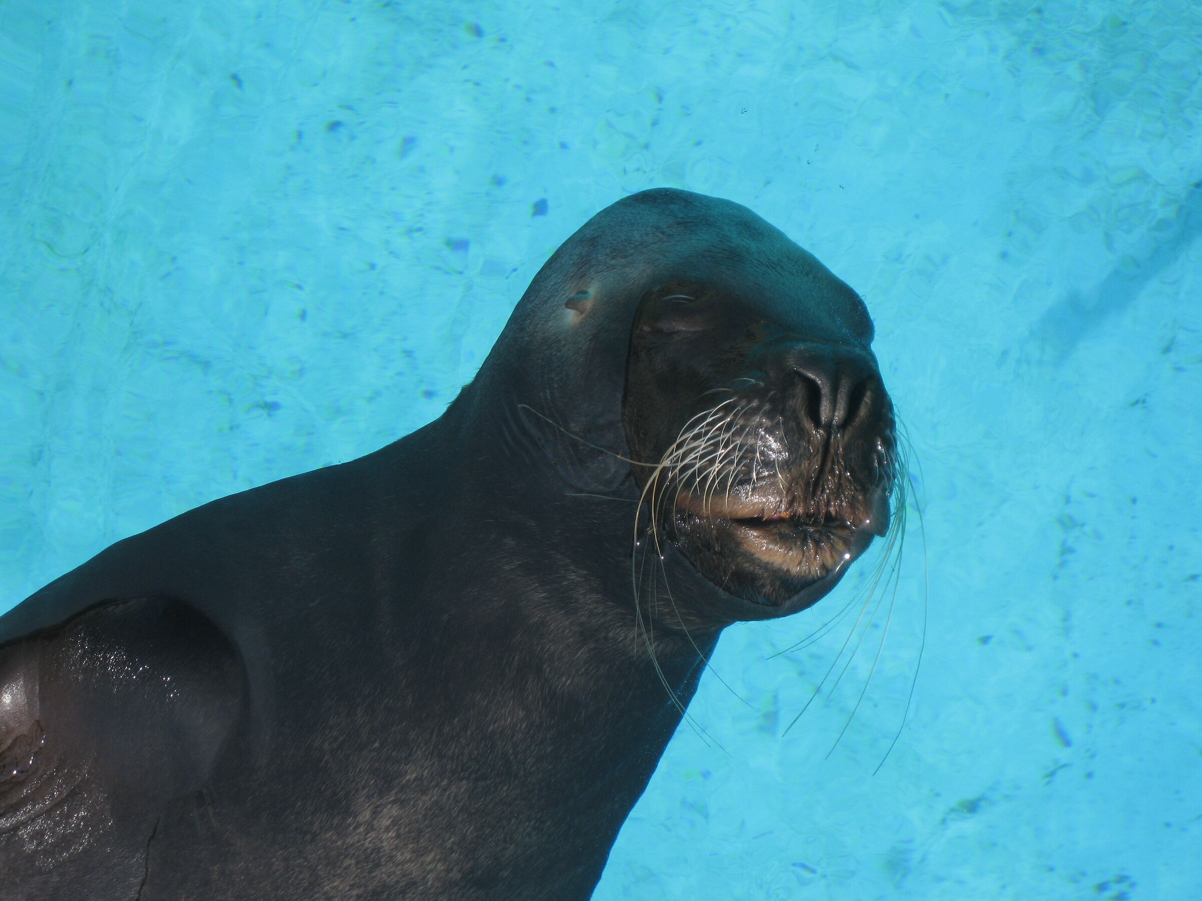 Immerso in un sonno profondo