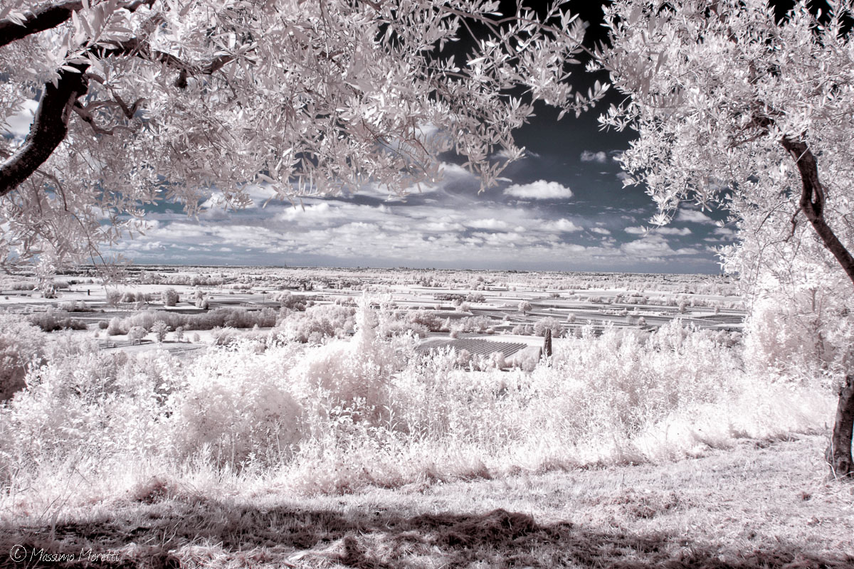 Panorama IR