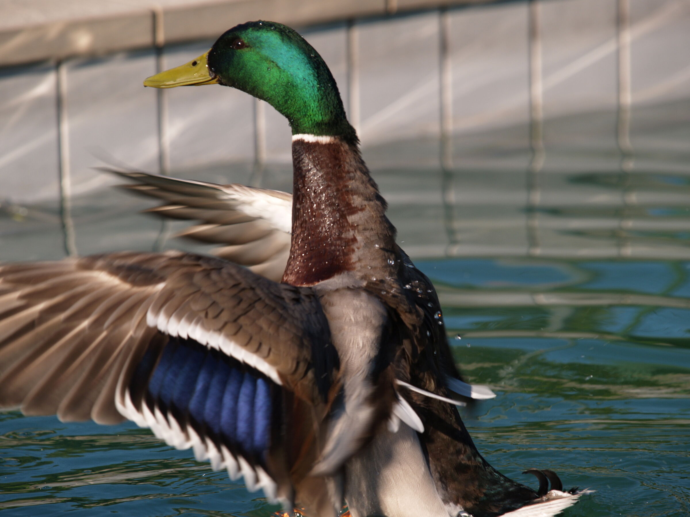 I remove the disturbance