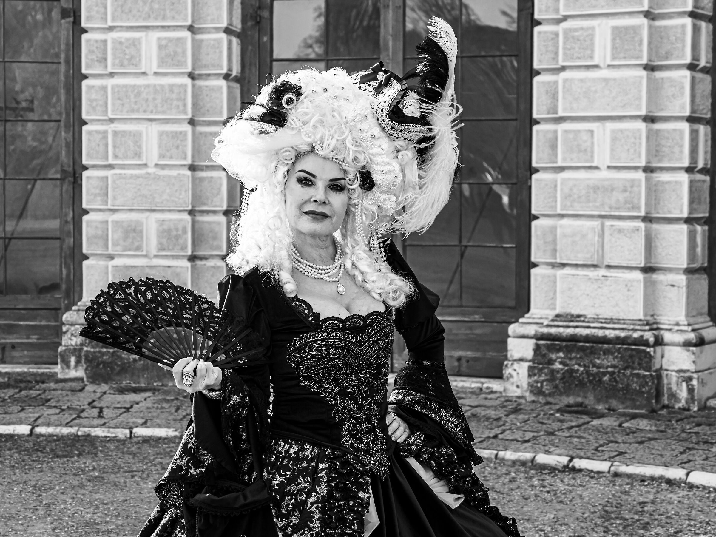 La dama senza compagnia