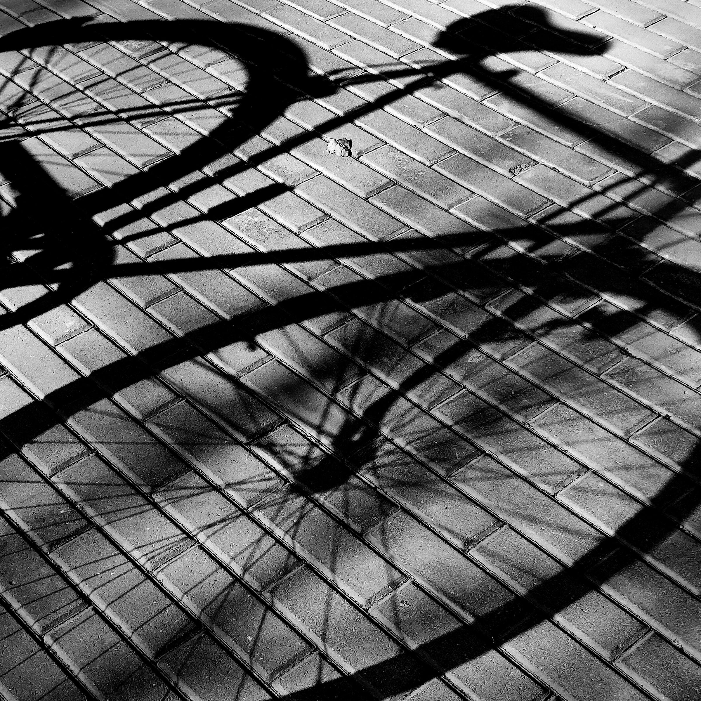 Composizione IV -  Diramazioni