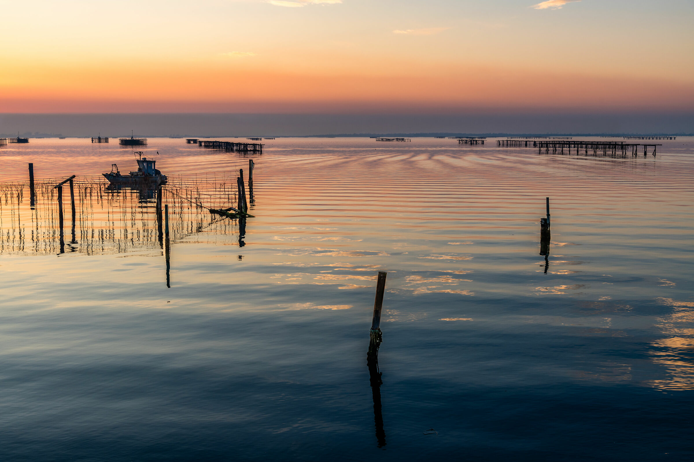 La Sacca si colora di viola