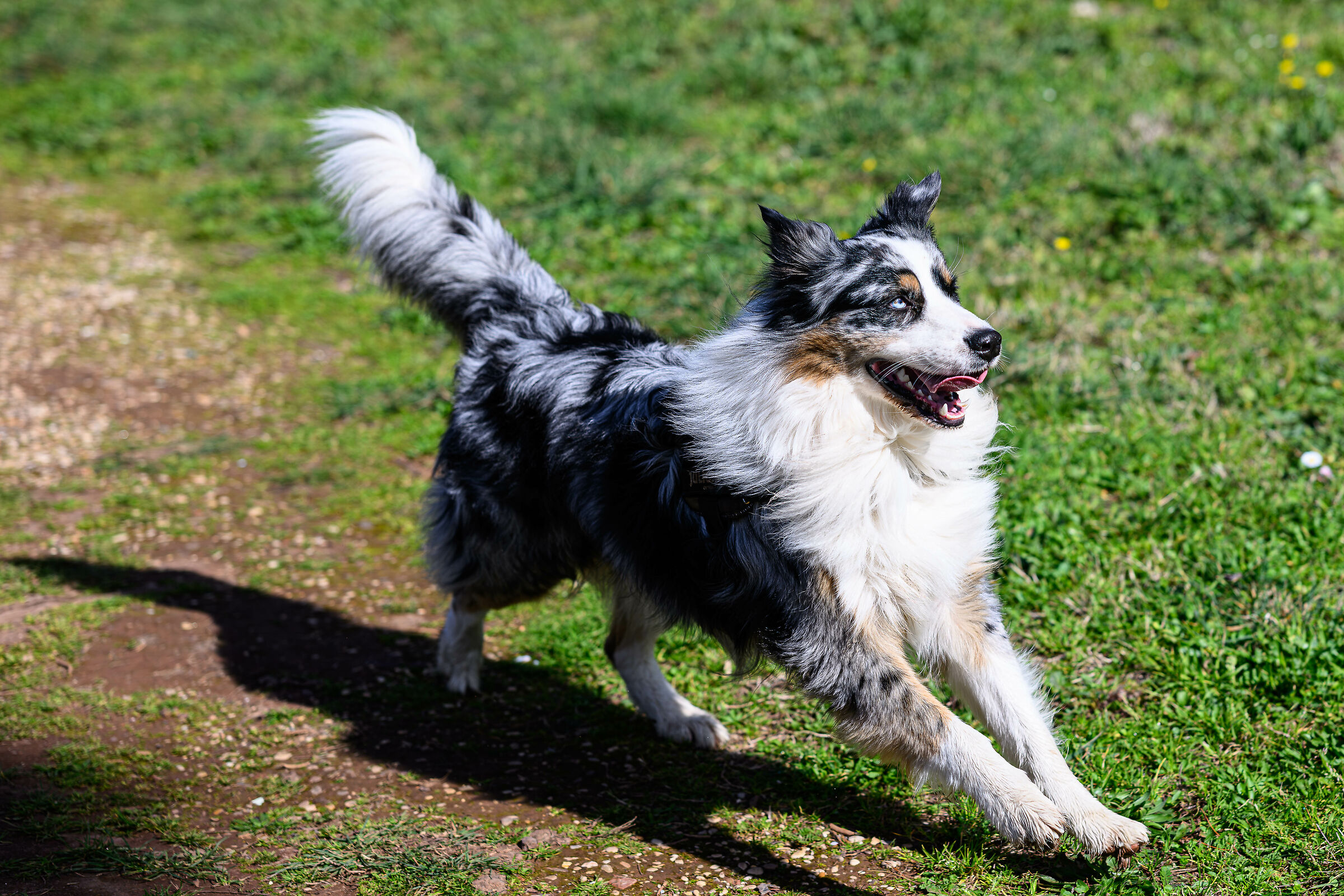 Scusate sono di fretta...