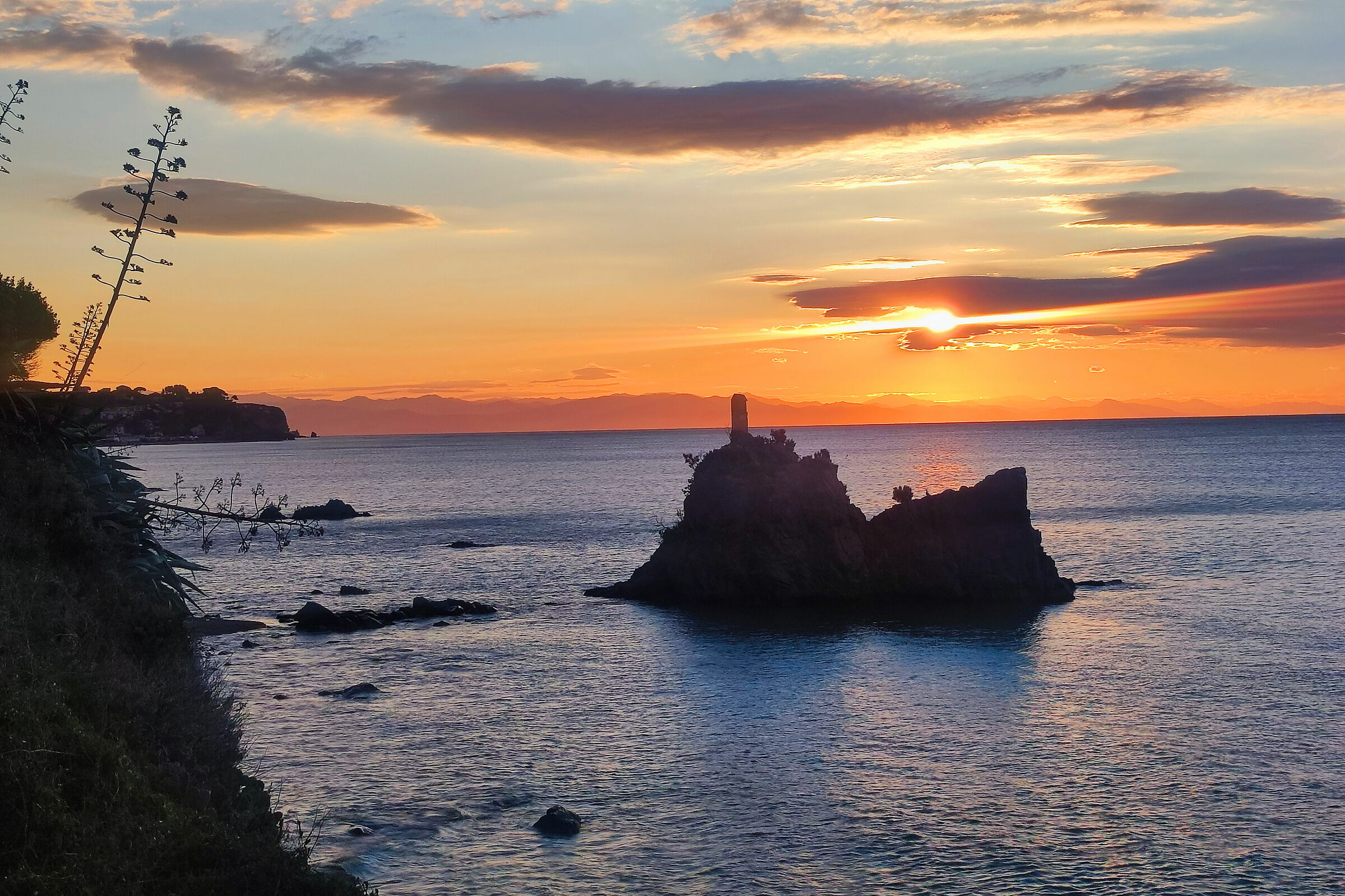 Dalla Madonnetta _ Savona