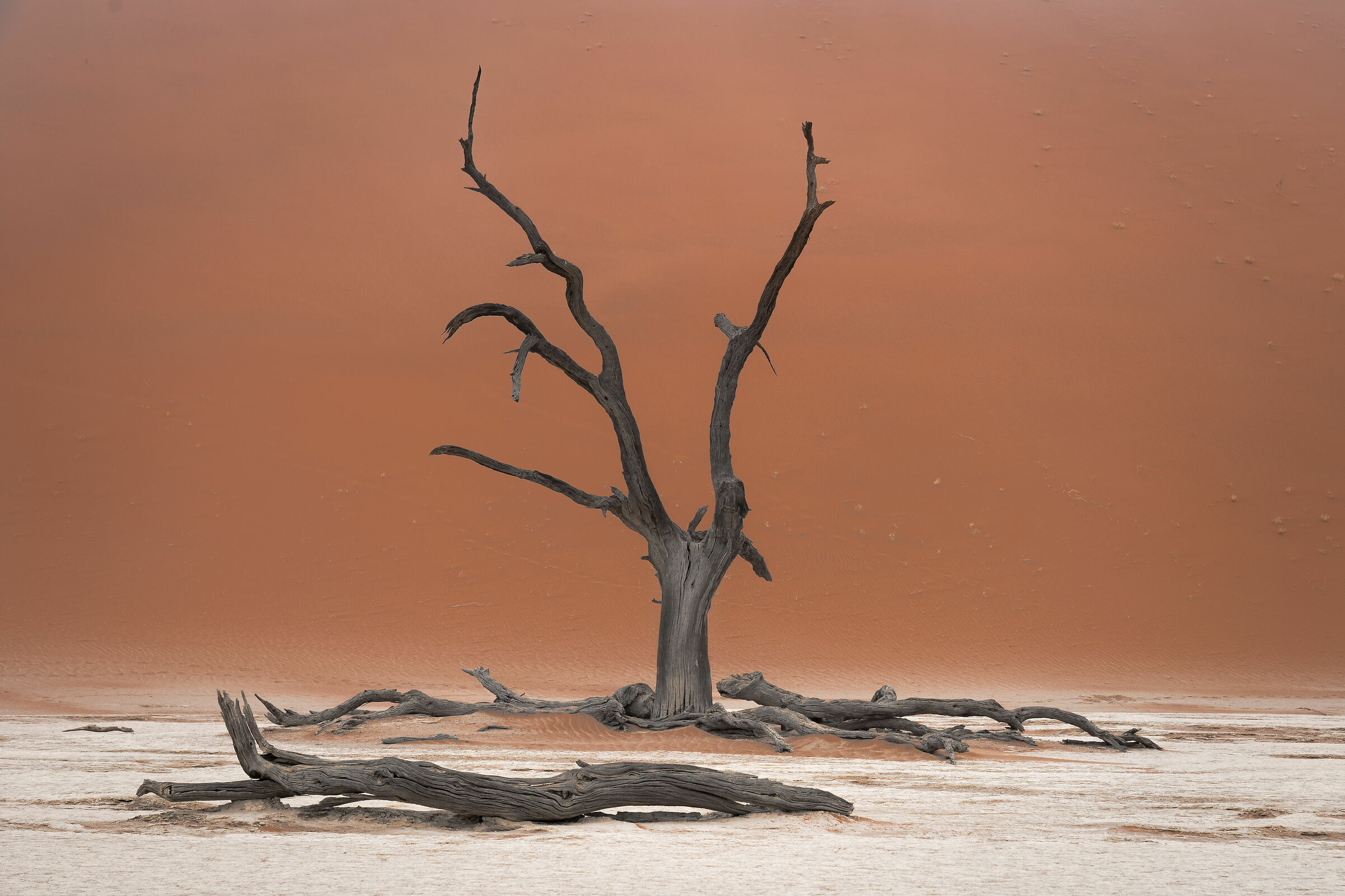 Deadvlei