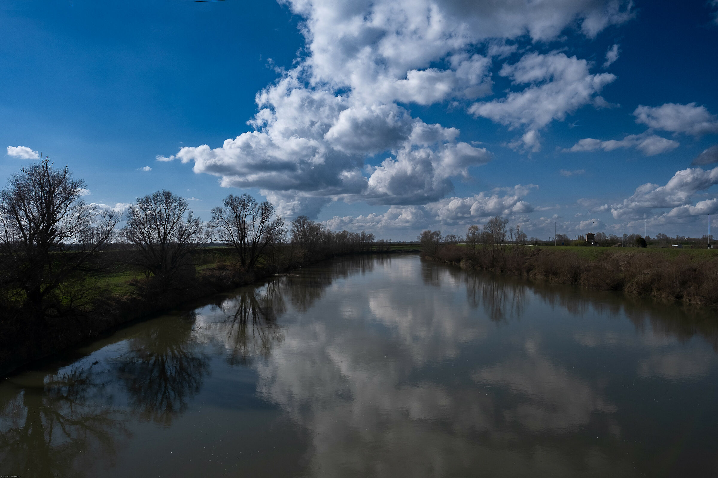 fiume Adige, Lendinara (Ro) 25.02.24