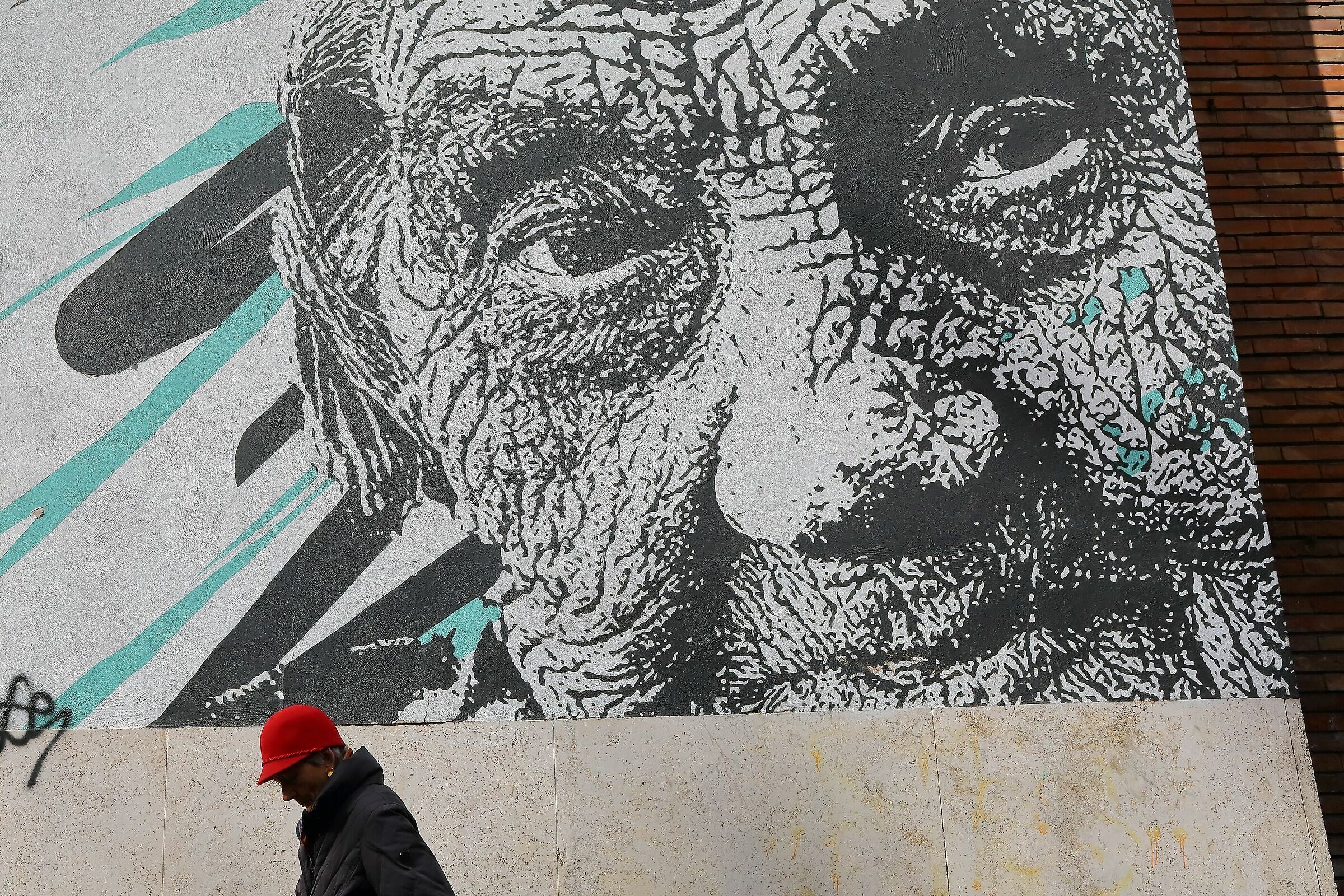 Graffiti urbani, mercato di via Guido Reni