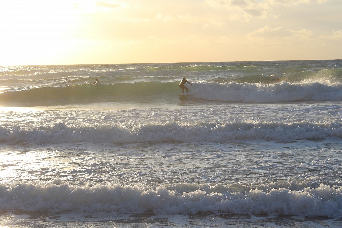 Surfing at dawn