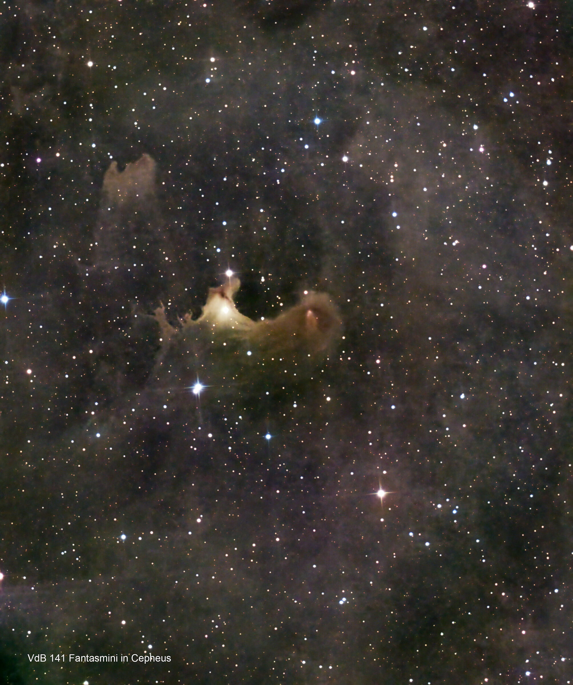 VdB 141Fantasmini in Cepheus