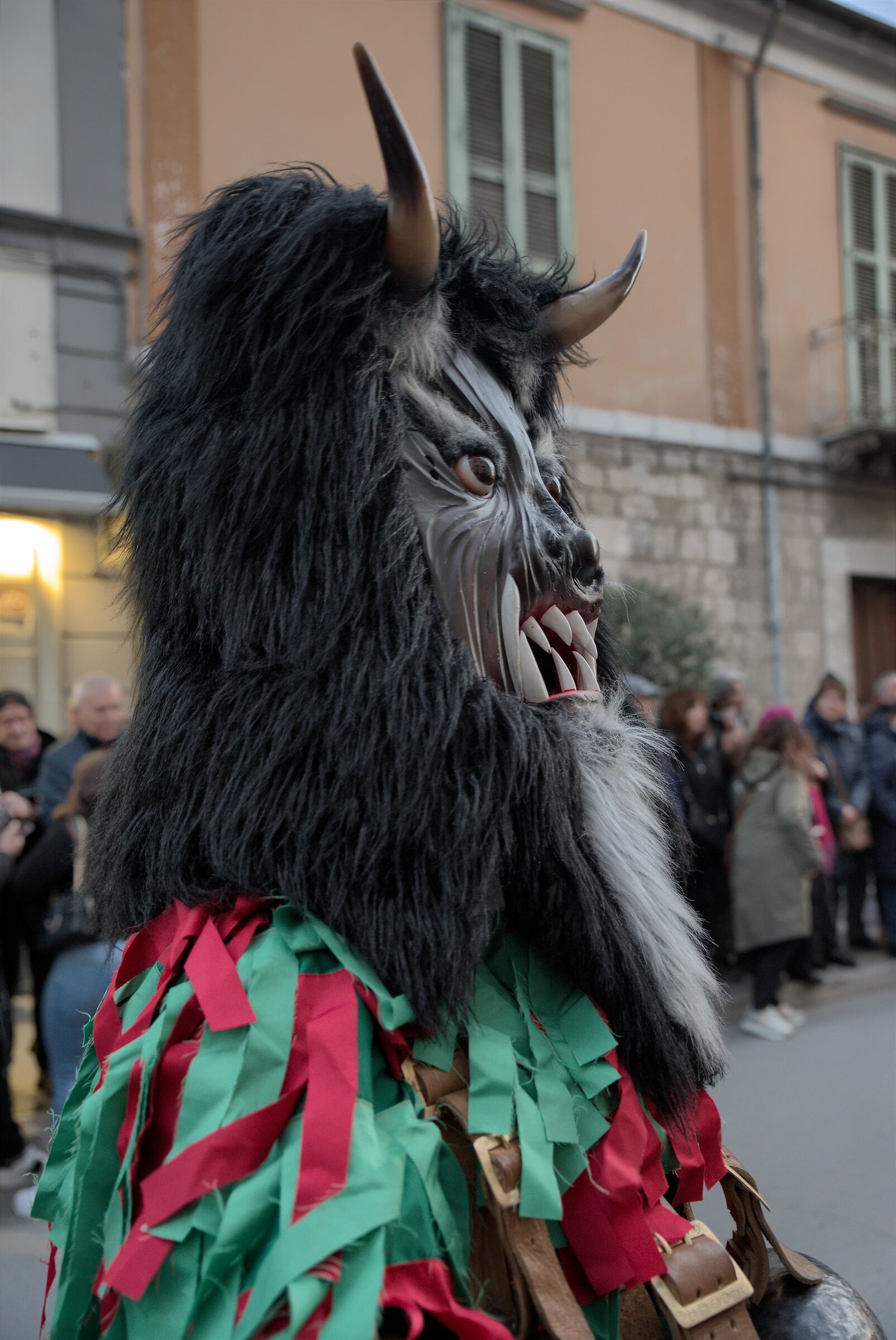Carnival of Zoomorphic Masks