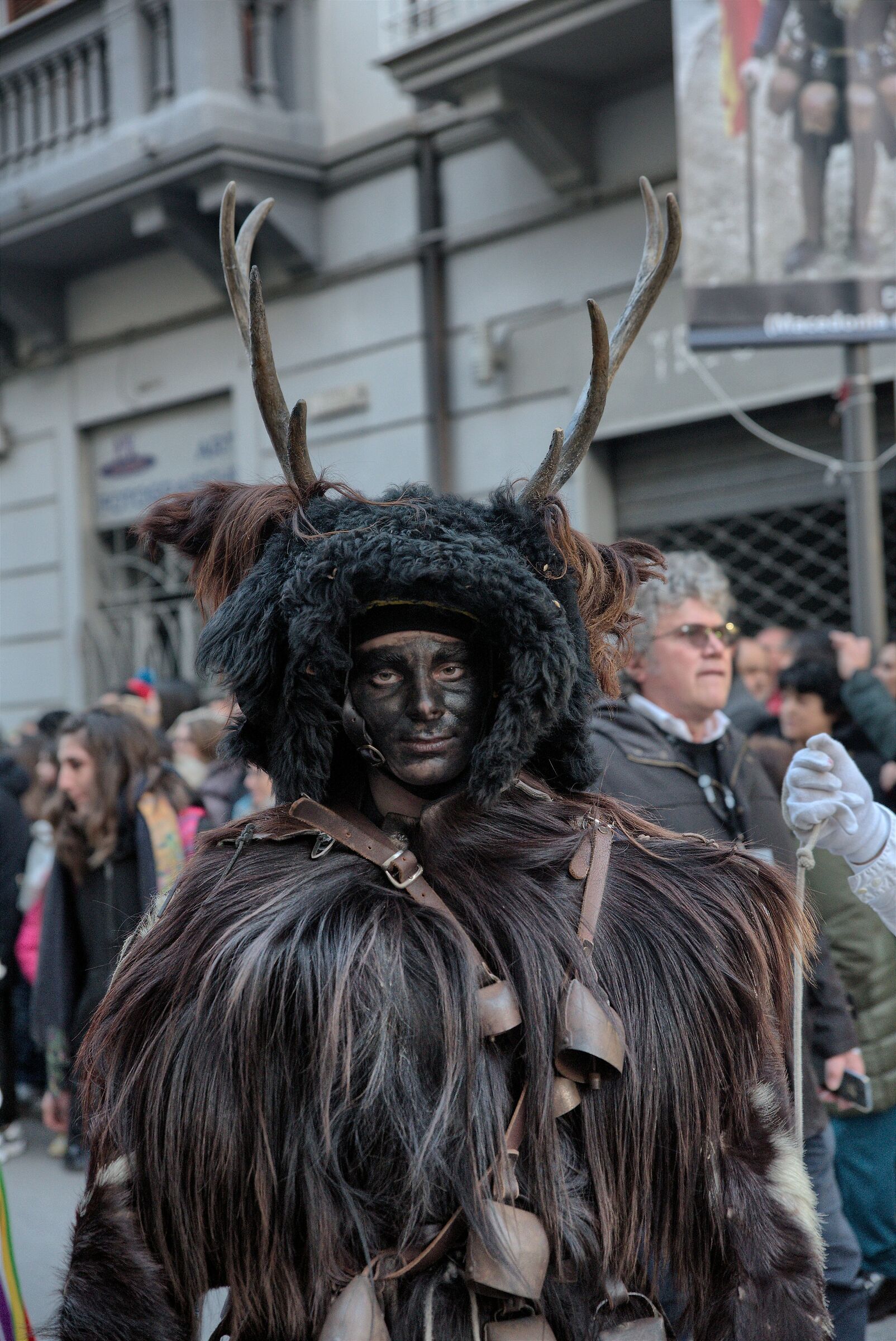 Carnival of Zoomorphic Masks