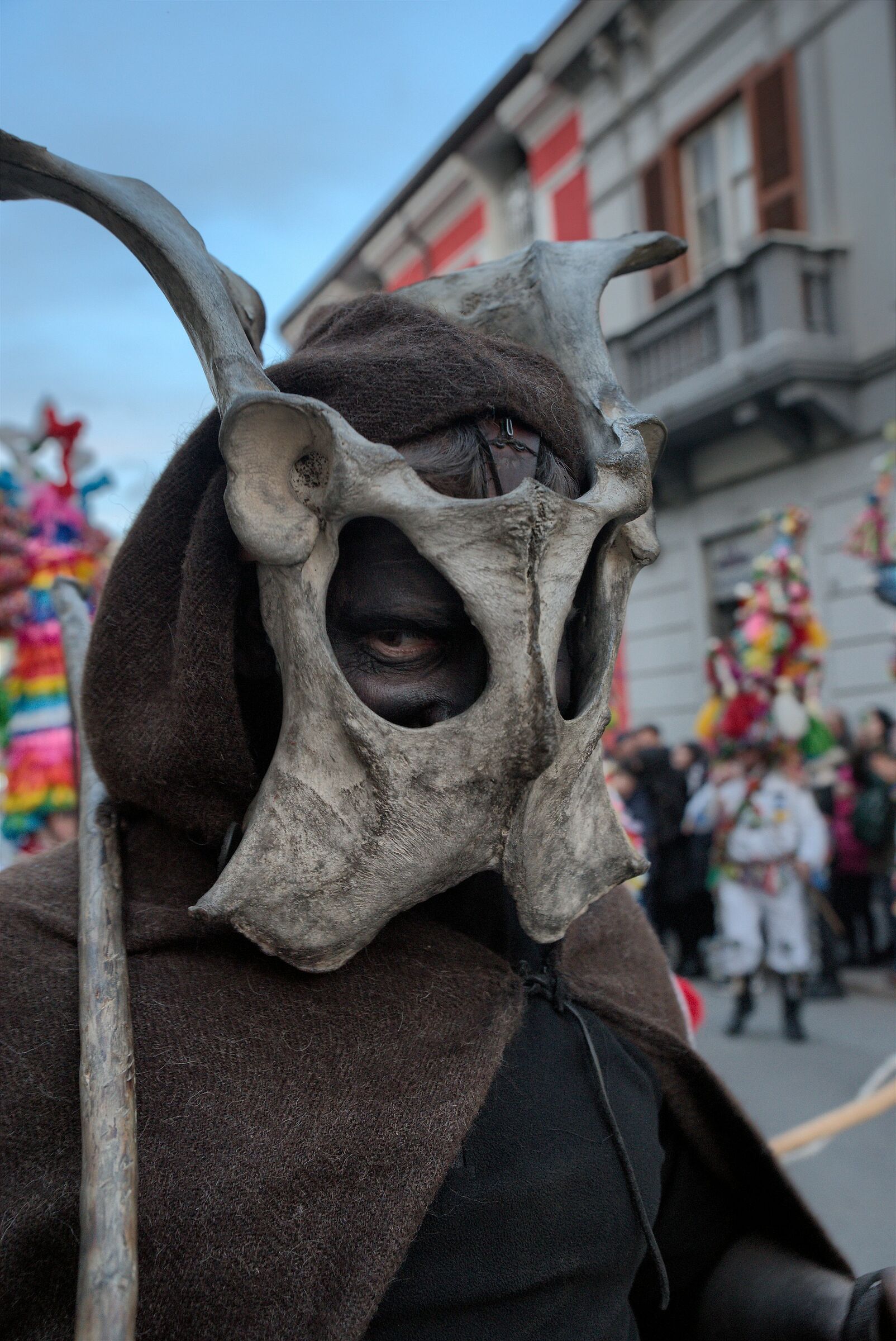 Carnival of Zoomorphic Masks