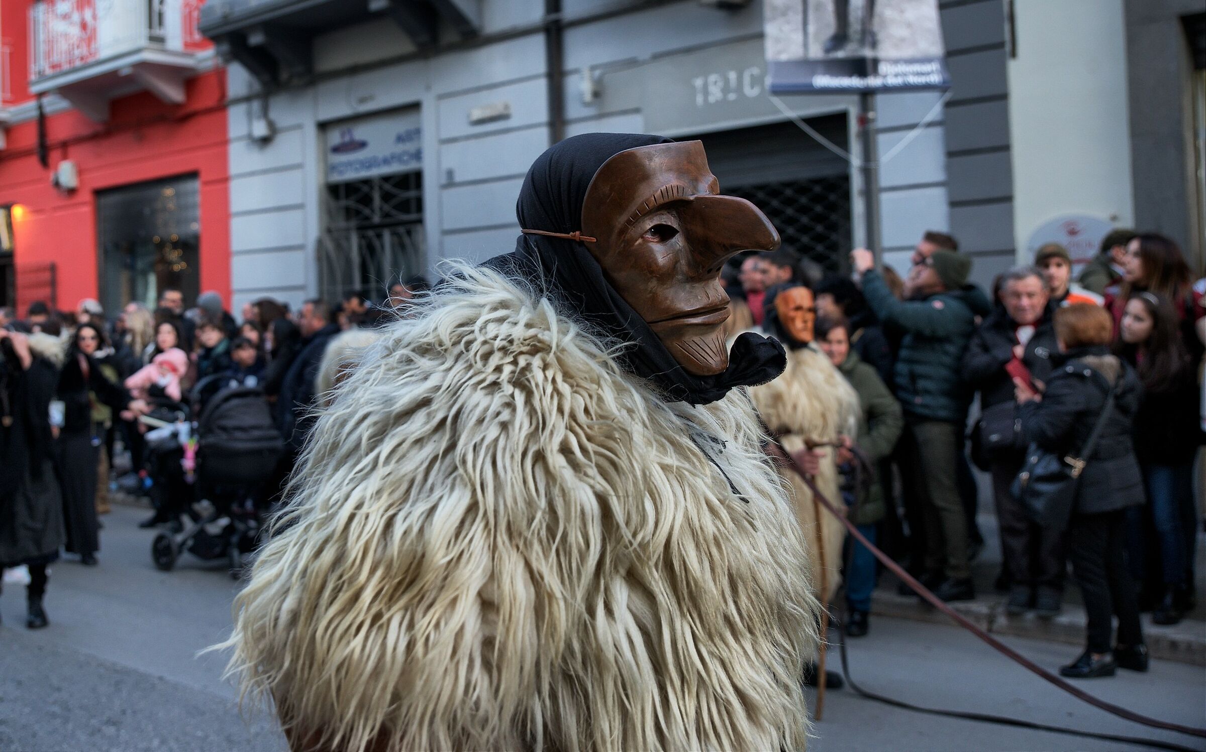Carnival of Zoomorphic Masks