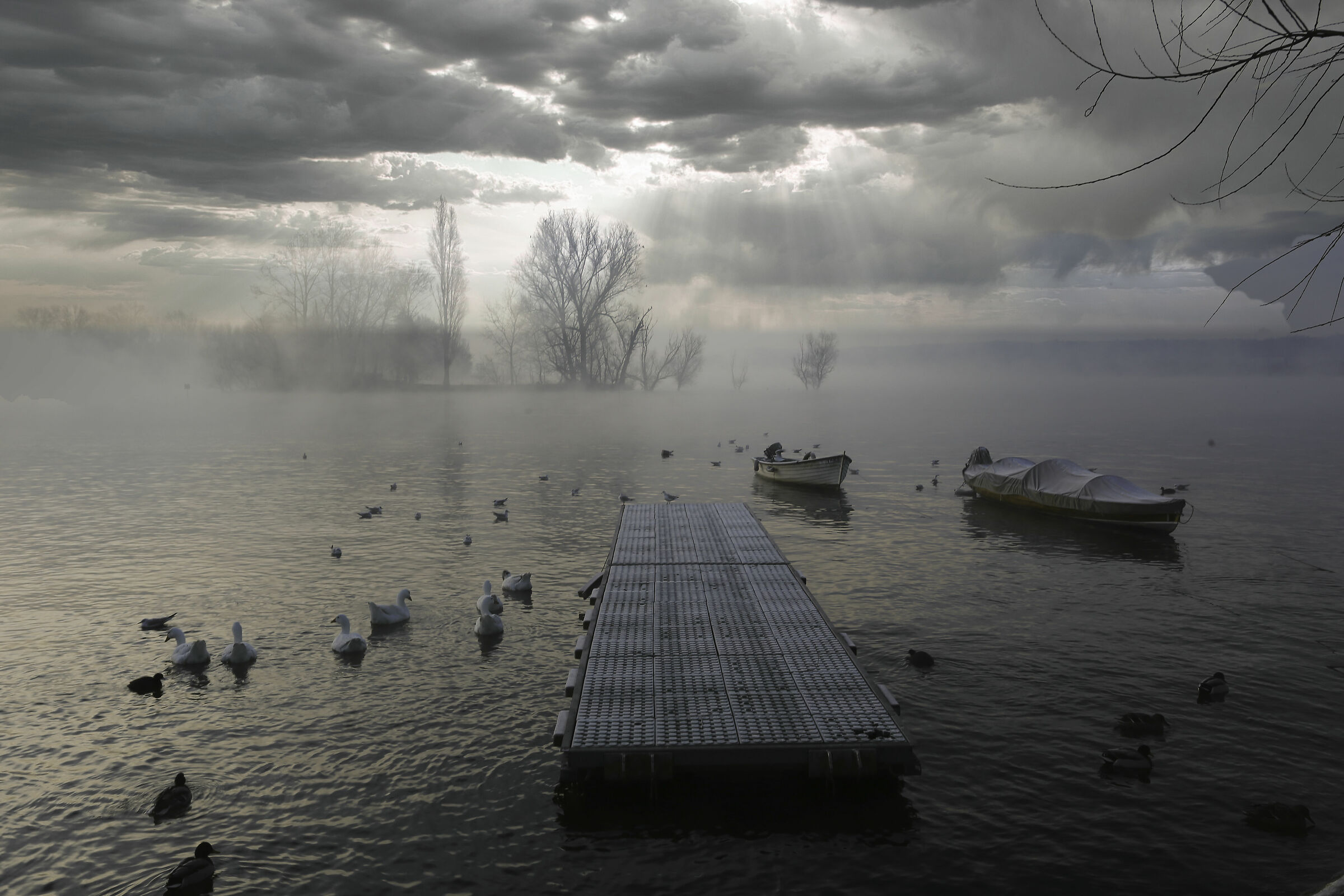 Angera lago