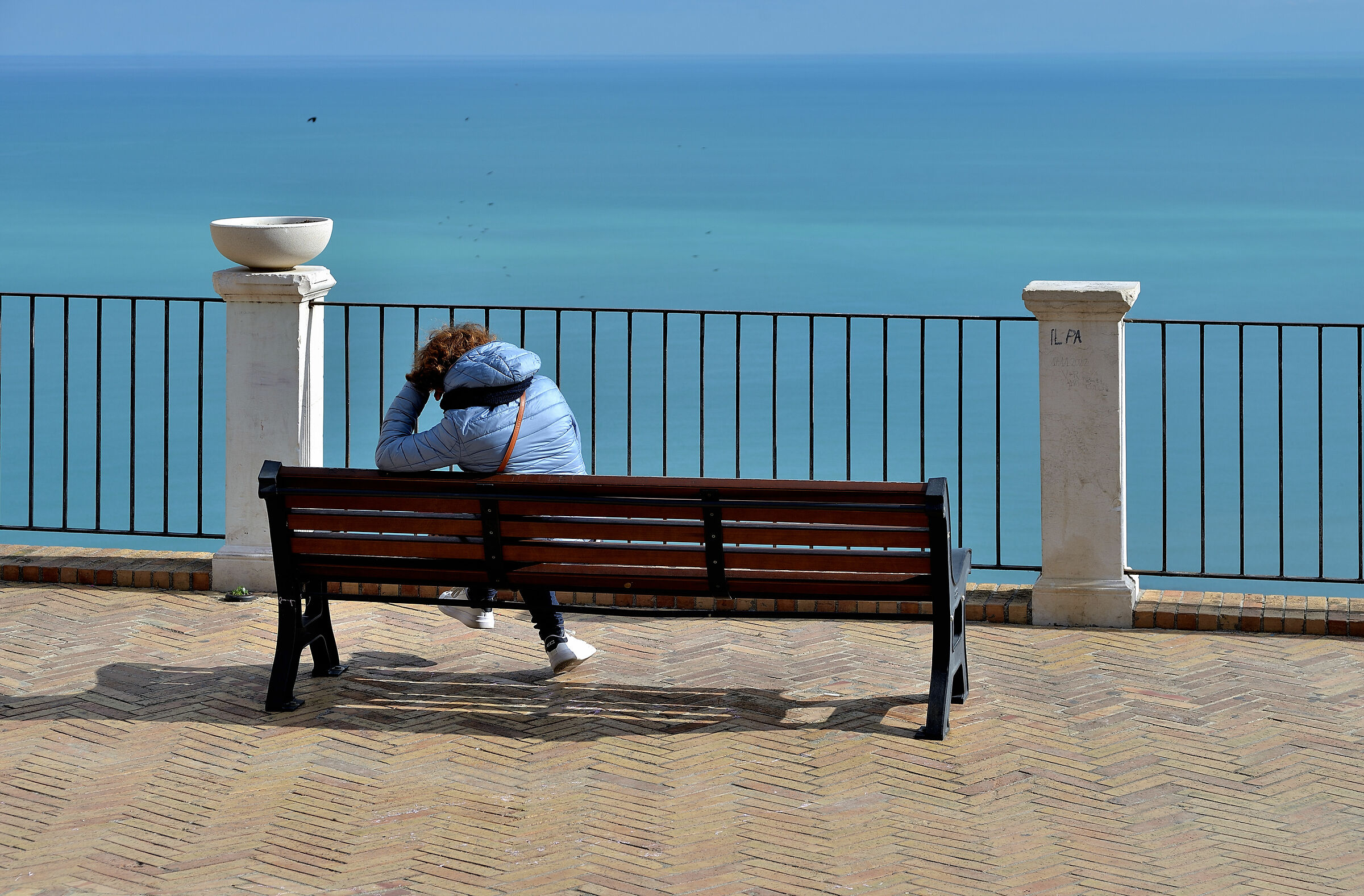 Pensieri in volo libero