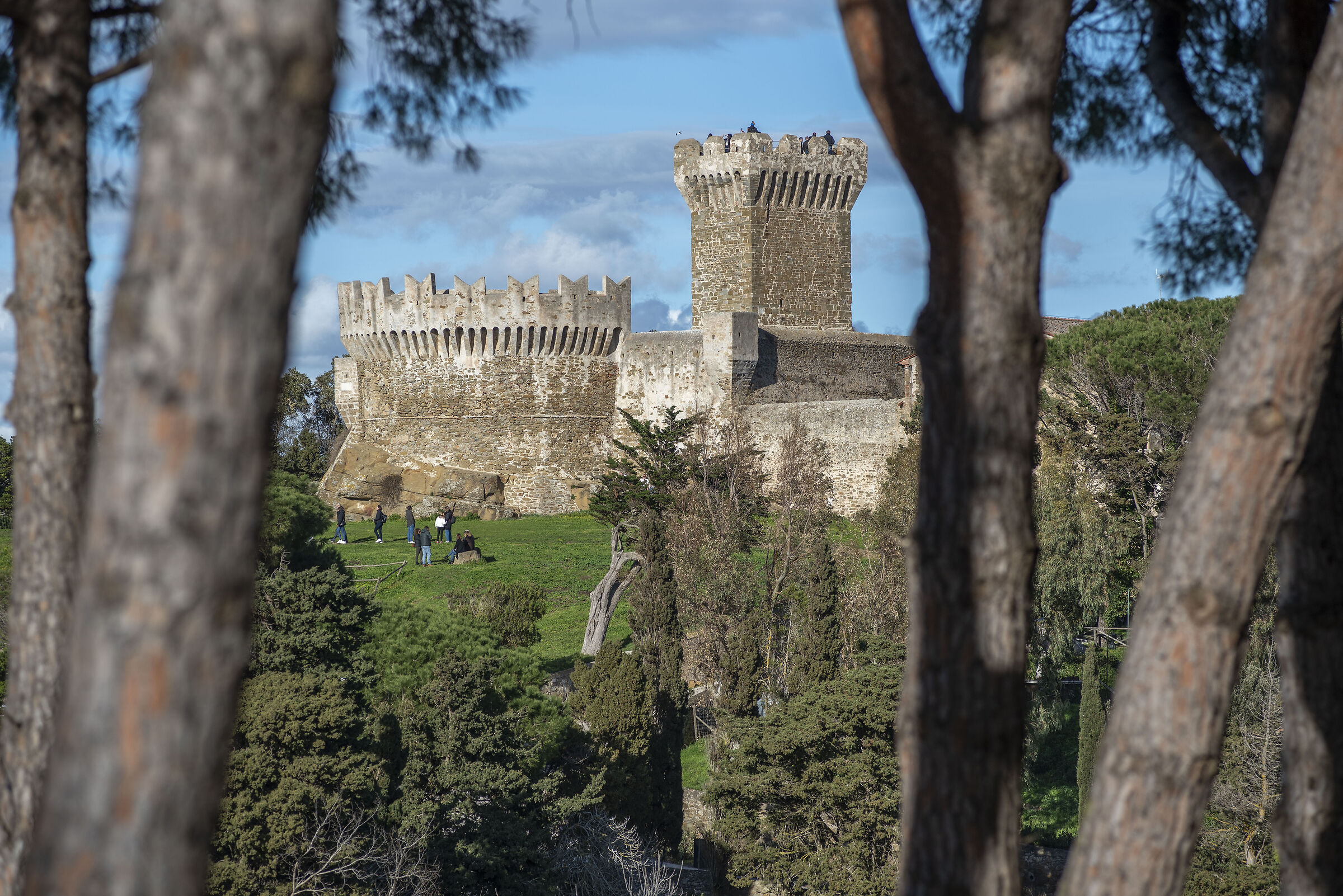 Populonia among the pines