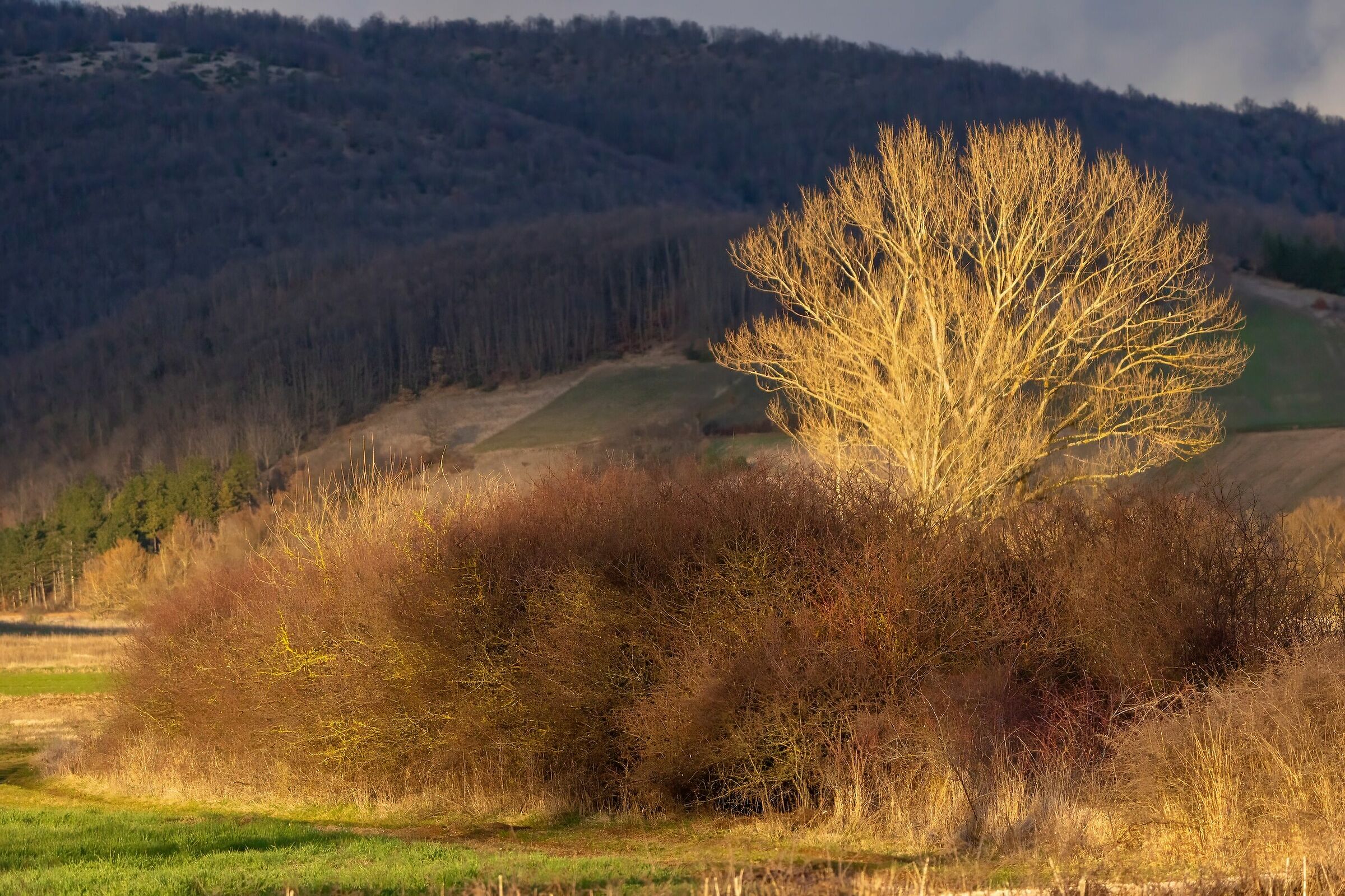 L'ultimo sole sull'altipiano