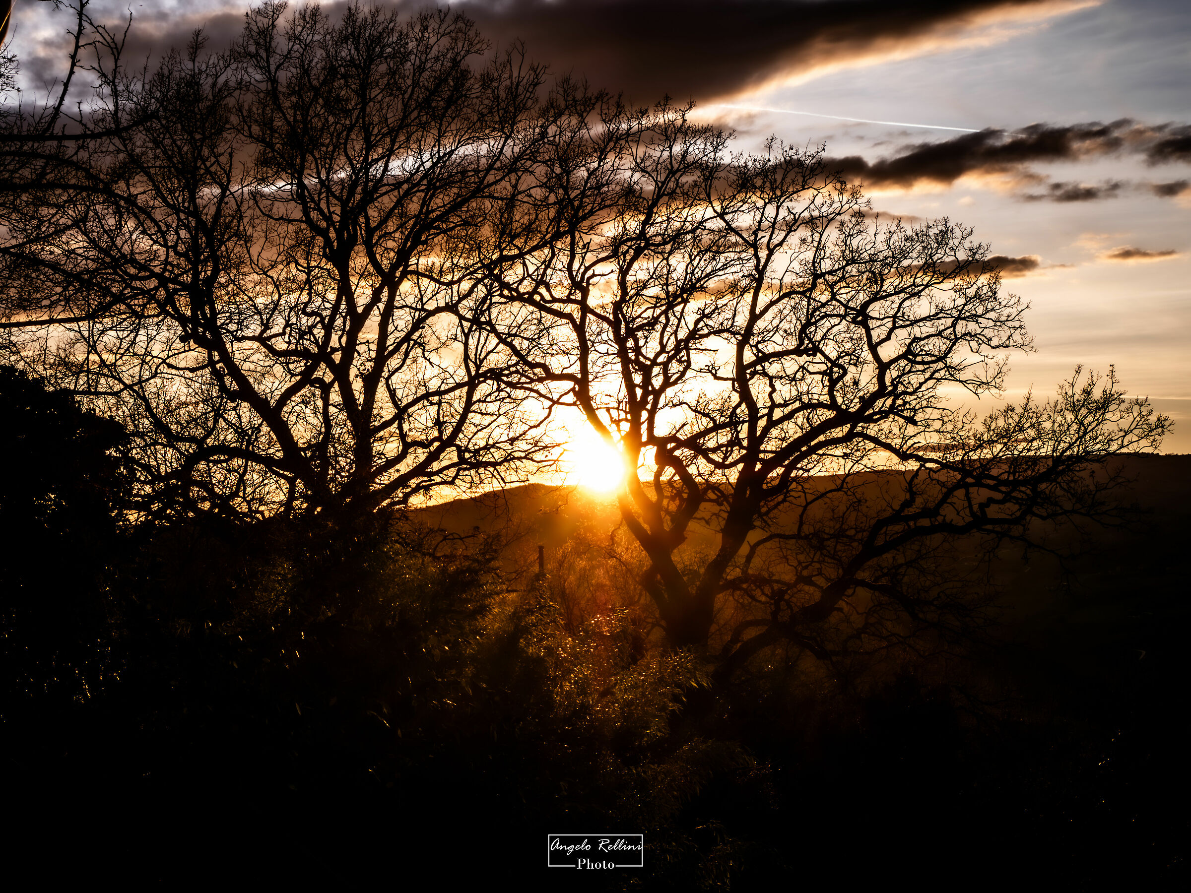 Sunsets