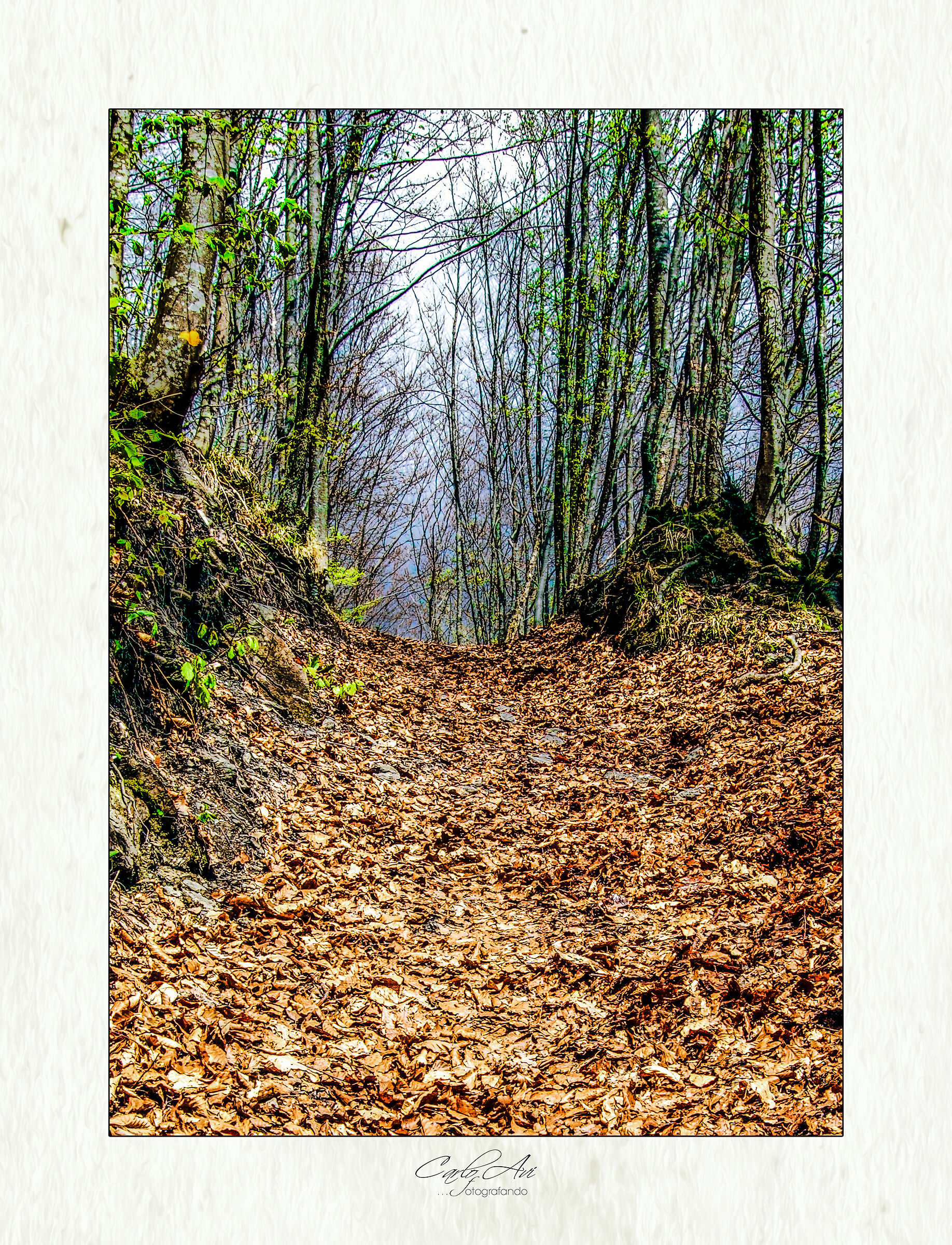 ...il finir dell'inverno