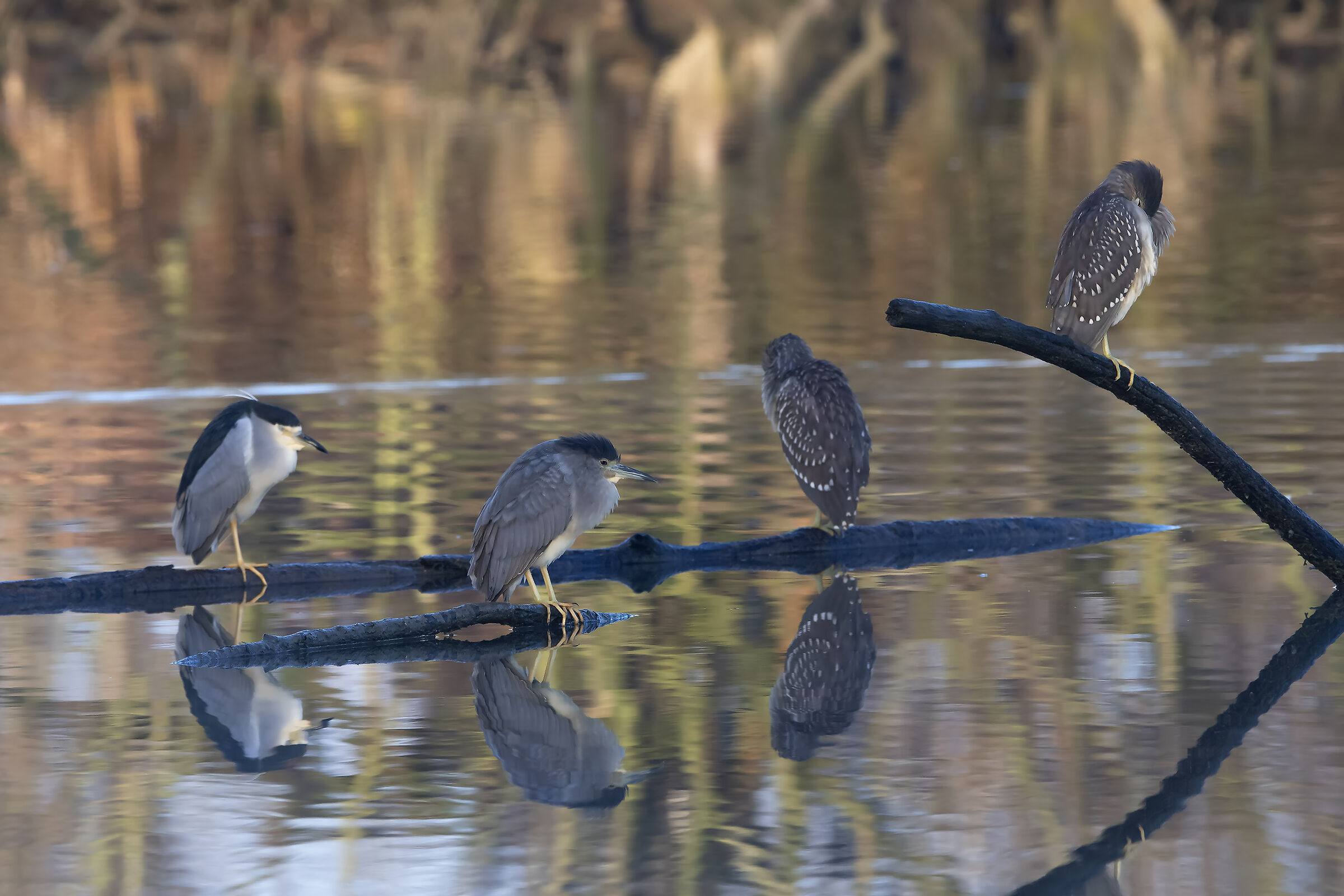Il riposo dopo un lungo viaggio