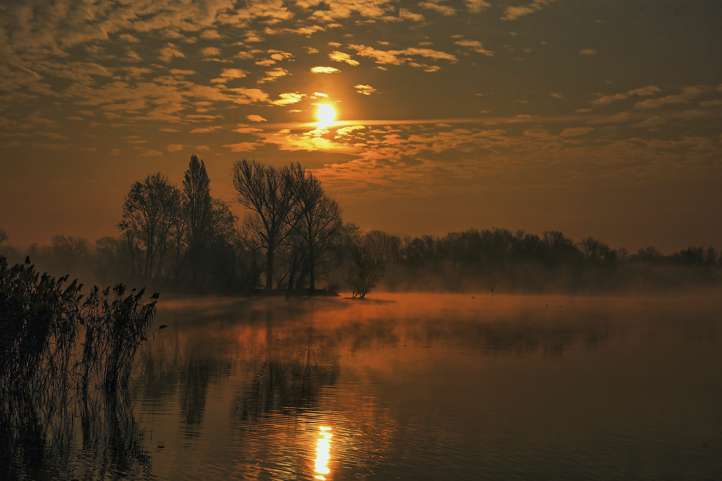 Angera lago