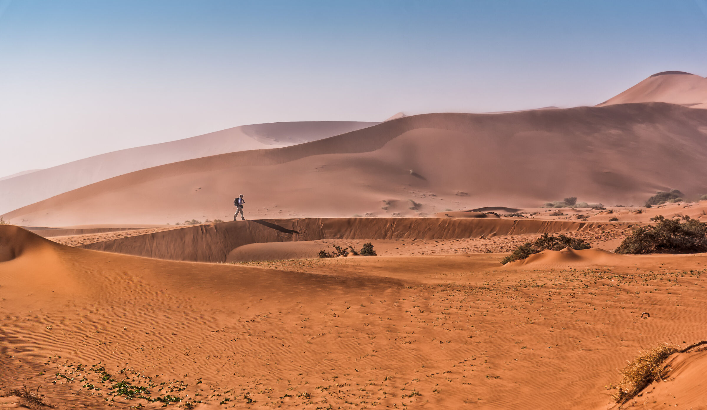 The Desert is my soul