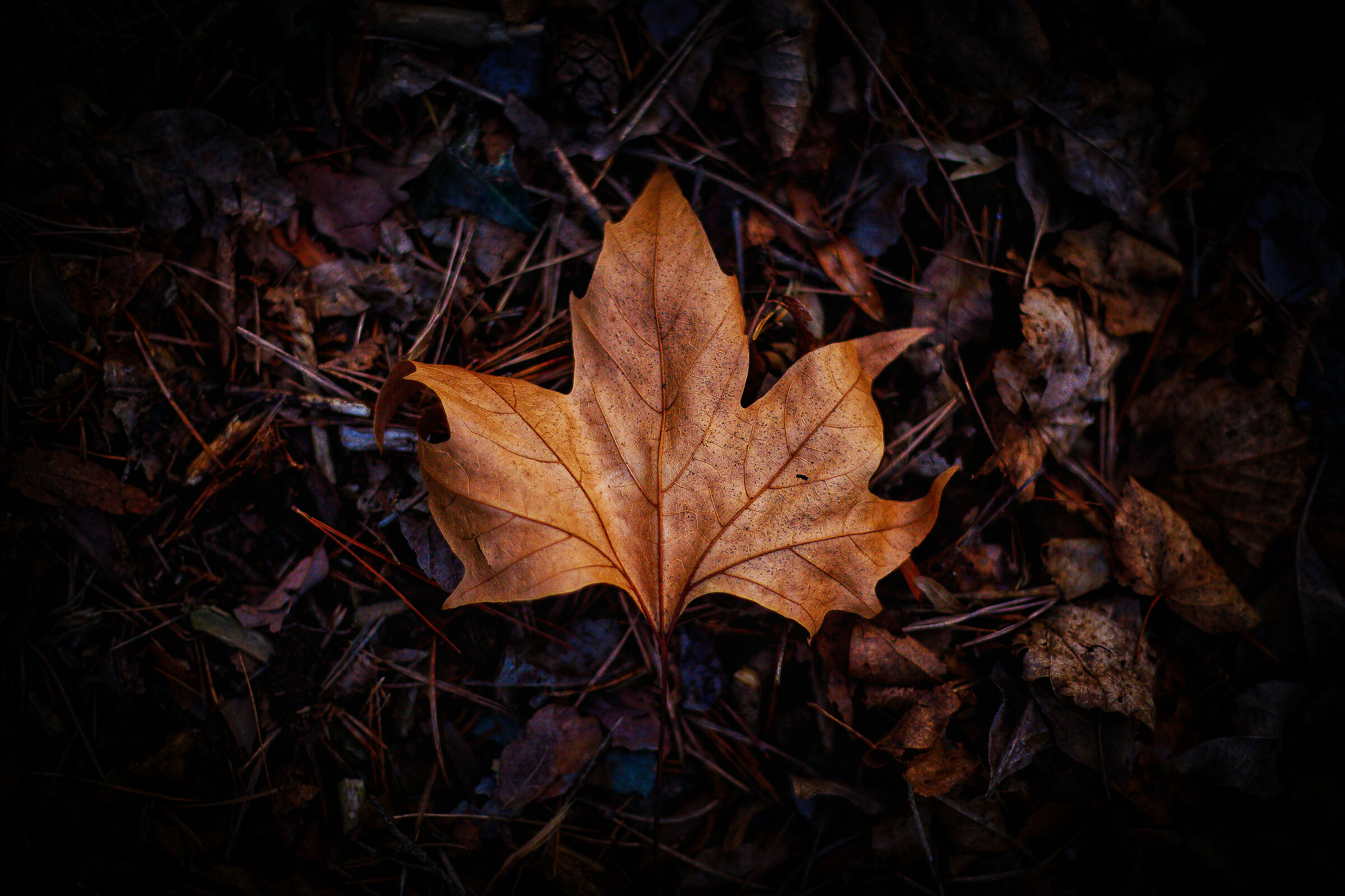 La fine dell'inverno