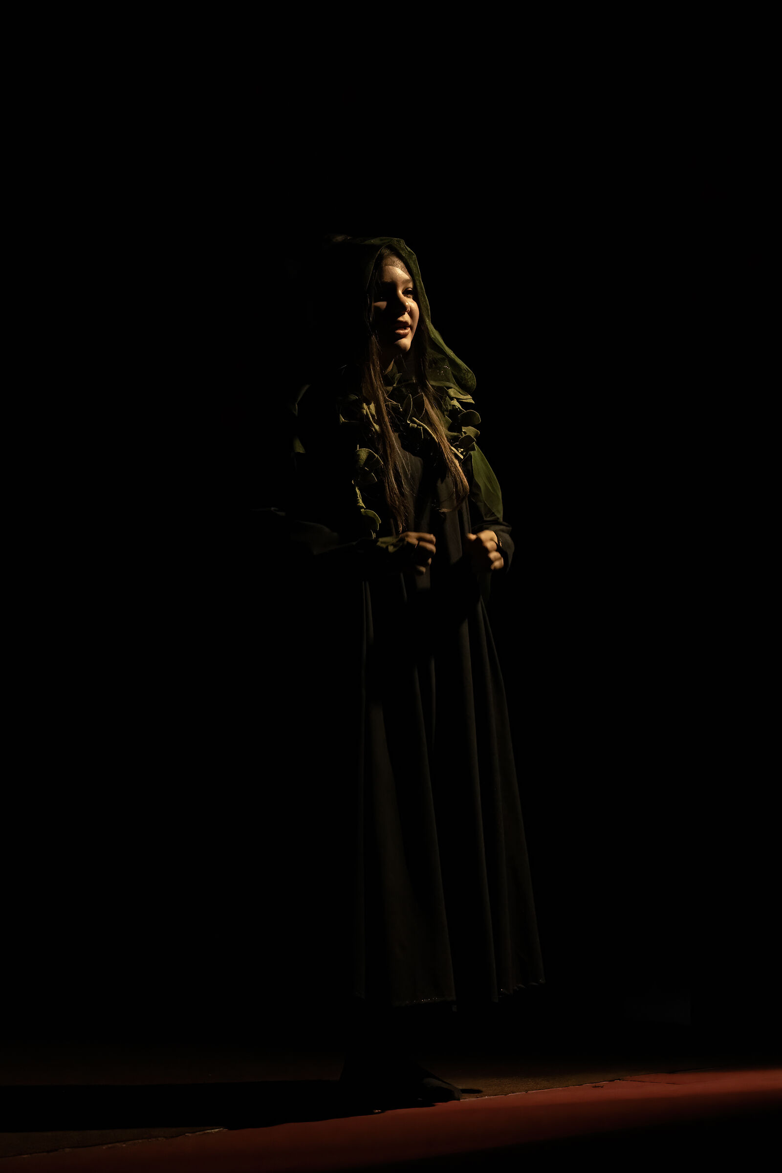 Shadows on the Stage