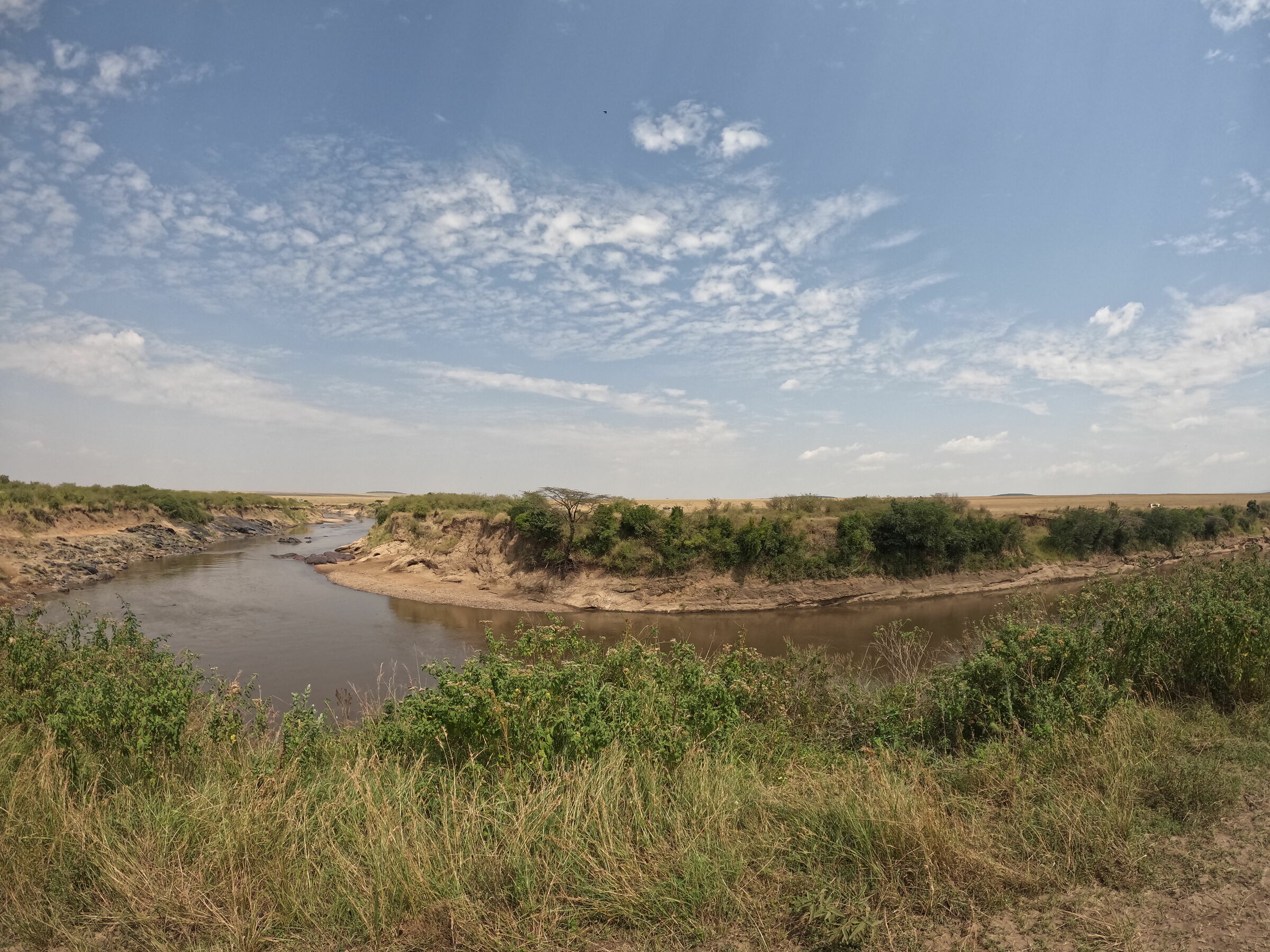 Mara River