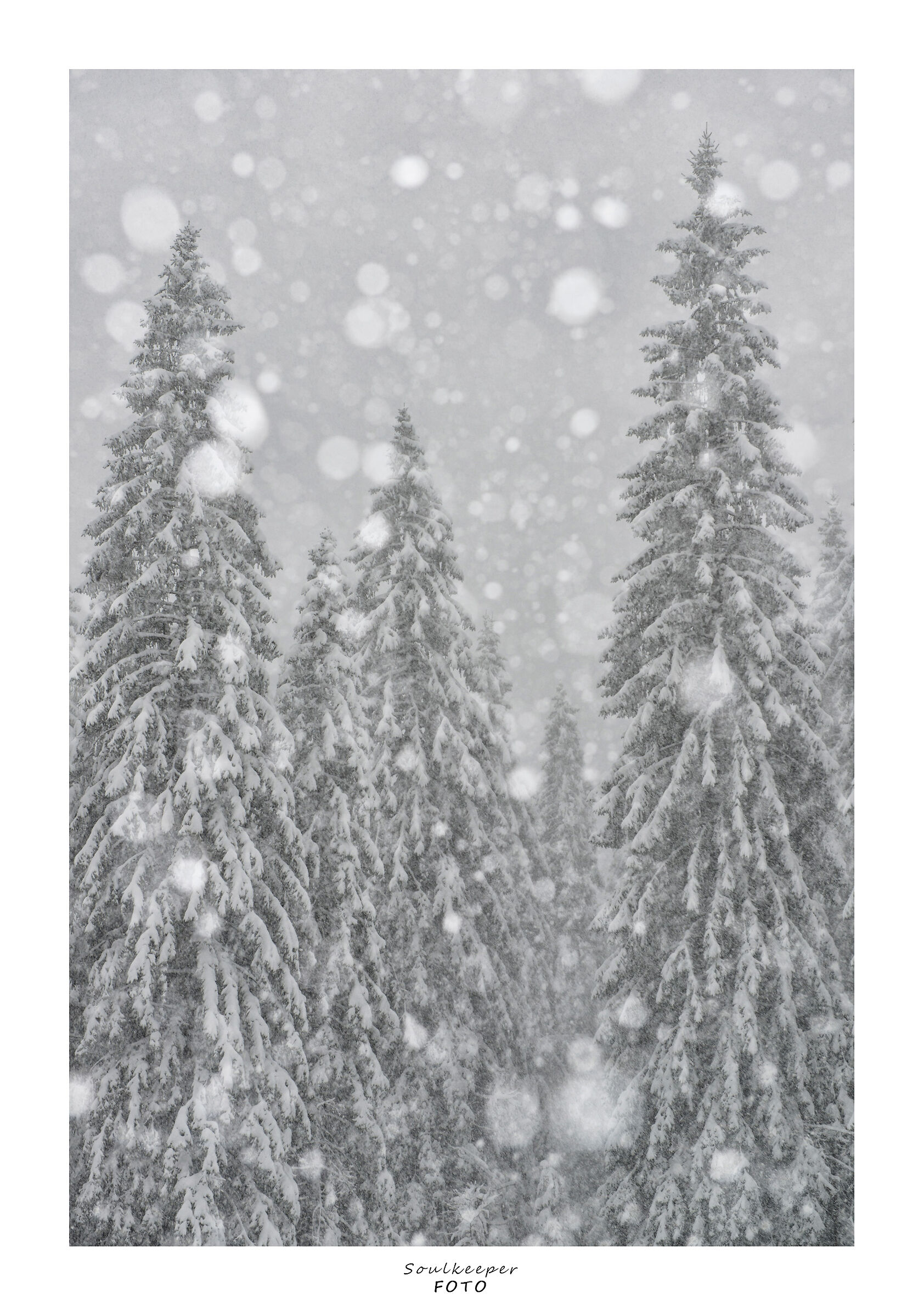 Effervescenza naturale.