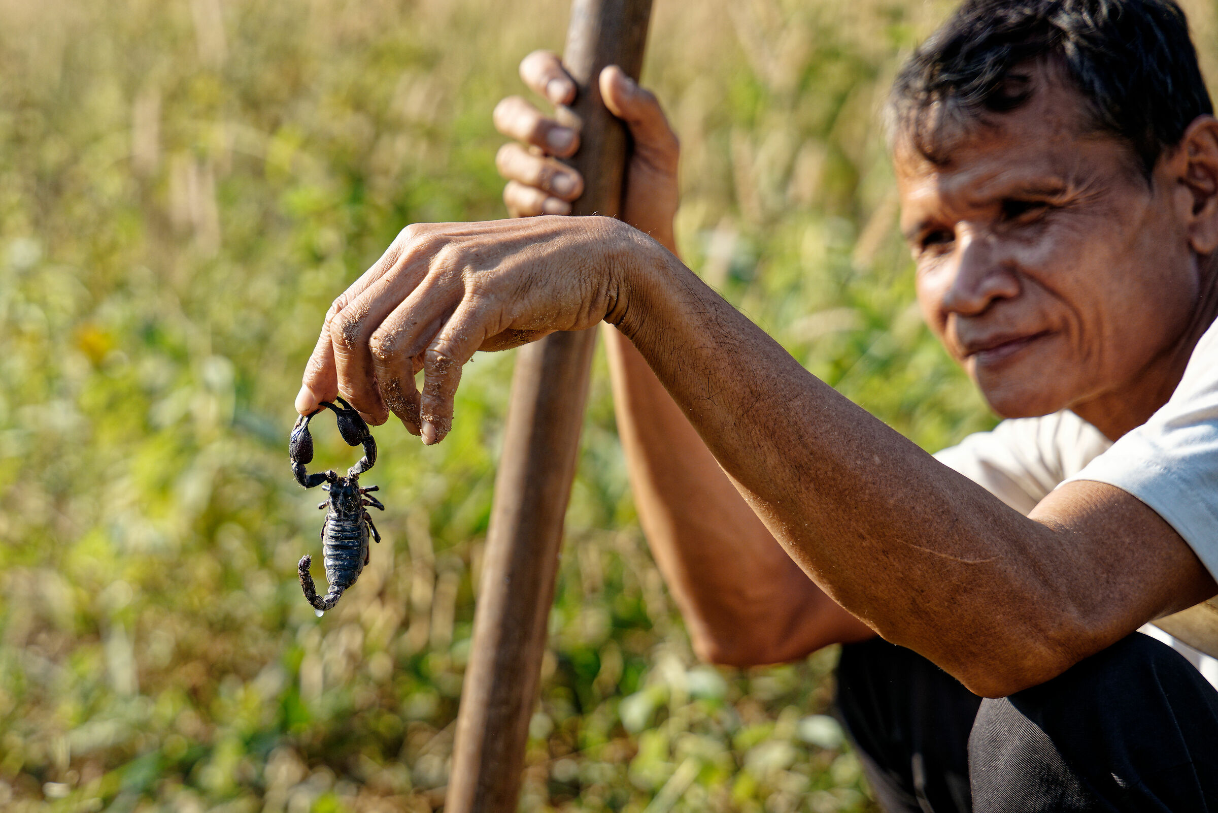 Cacciatore di scorpioni